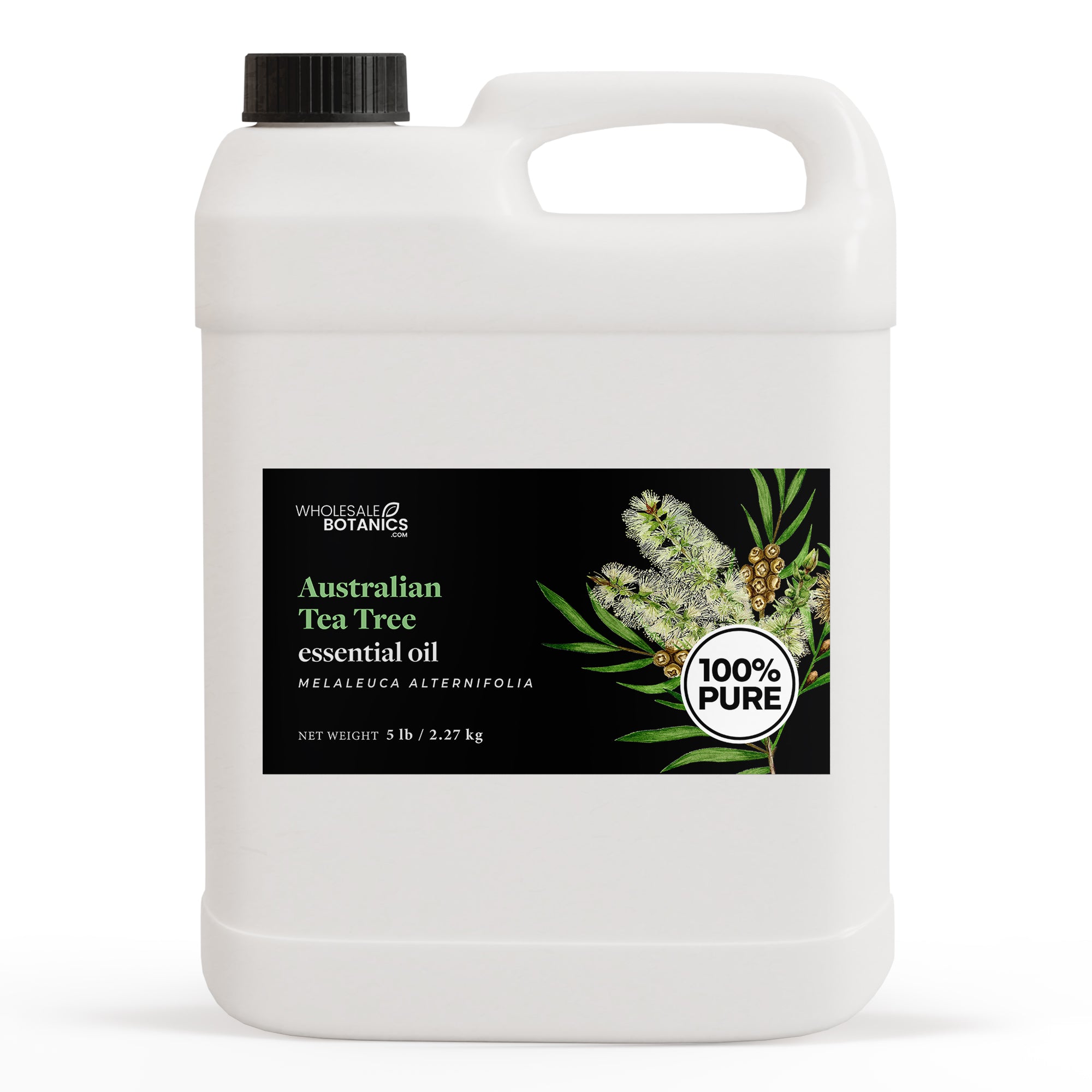 Tea Tree Essential Oil - Australia