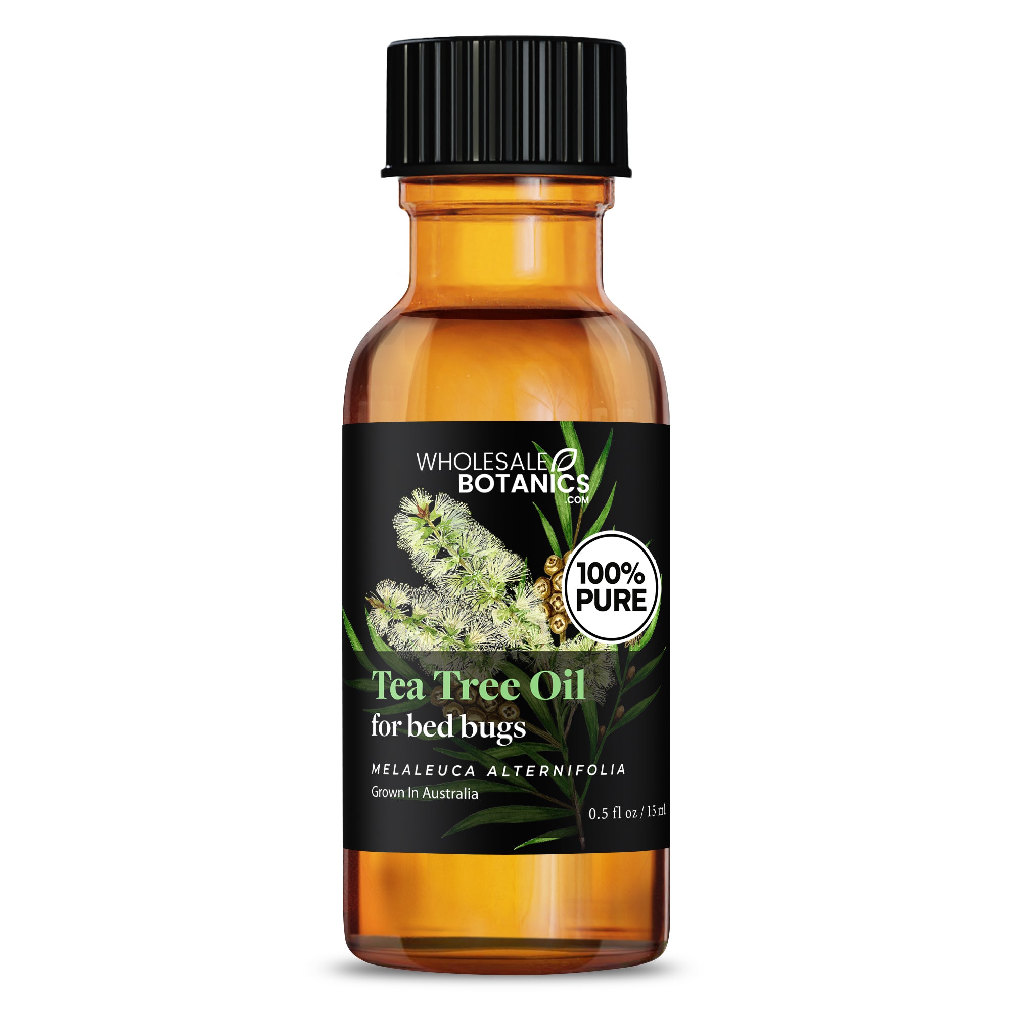 Tea Tree Oil for Bed Bugs