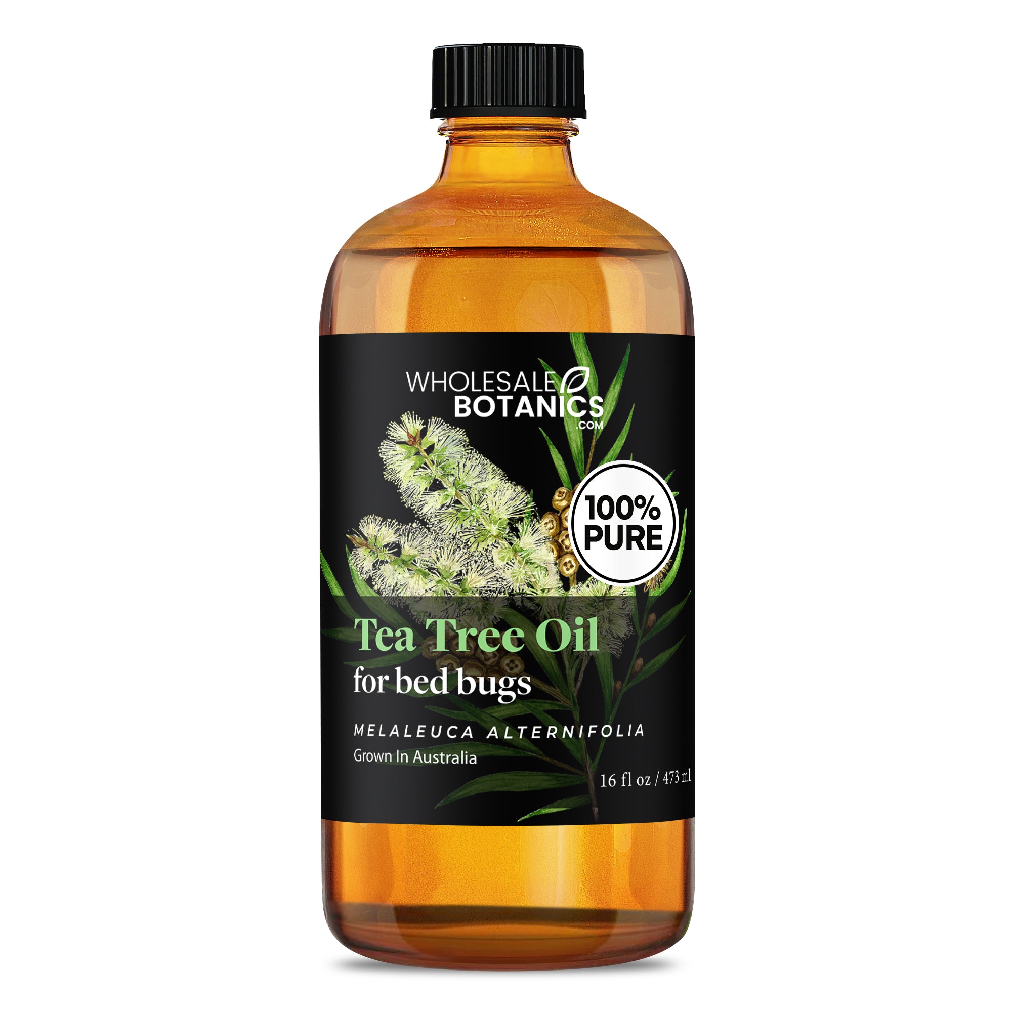 Tea Tree Oil for Bed Bugs