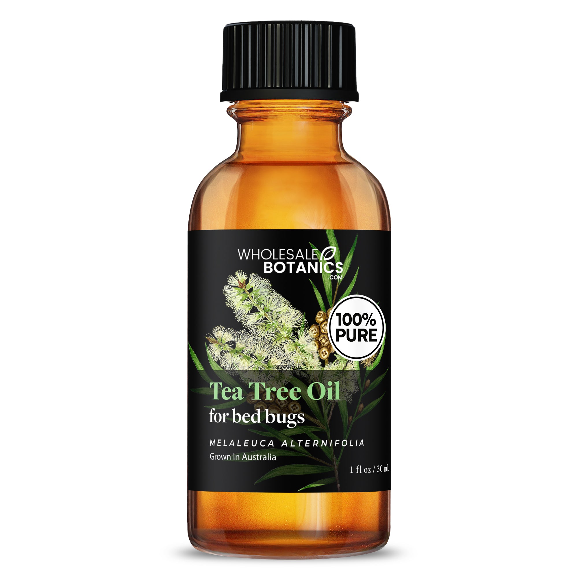 Tea Tree Oil for Bed Bugs