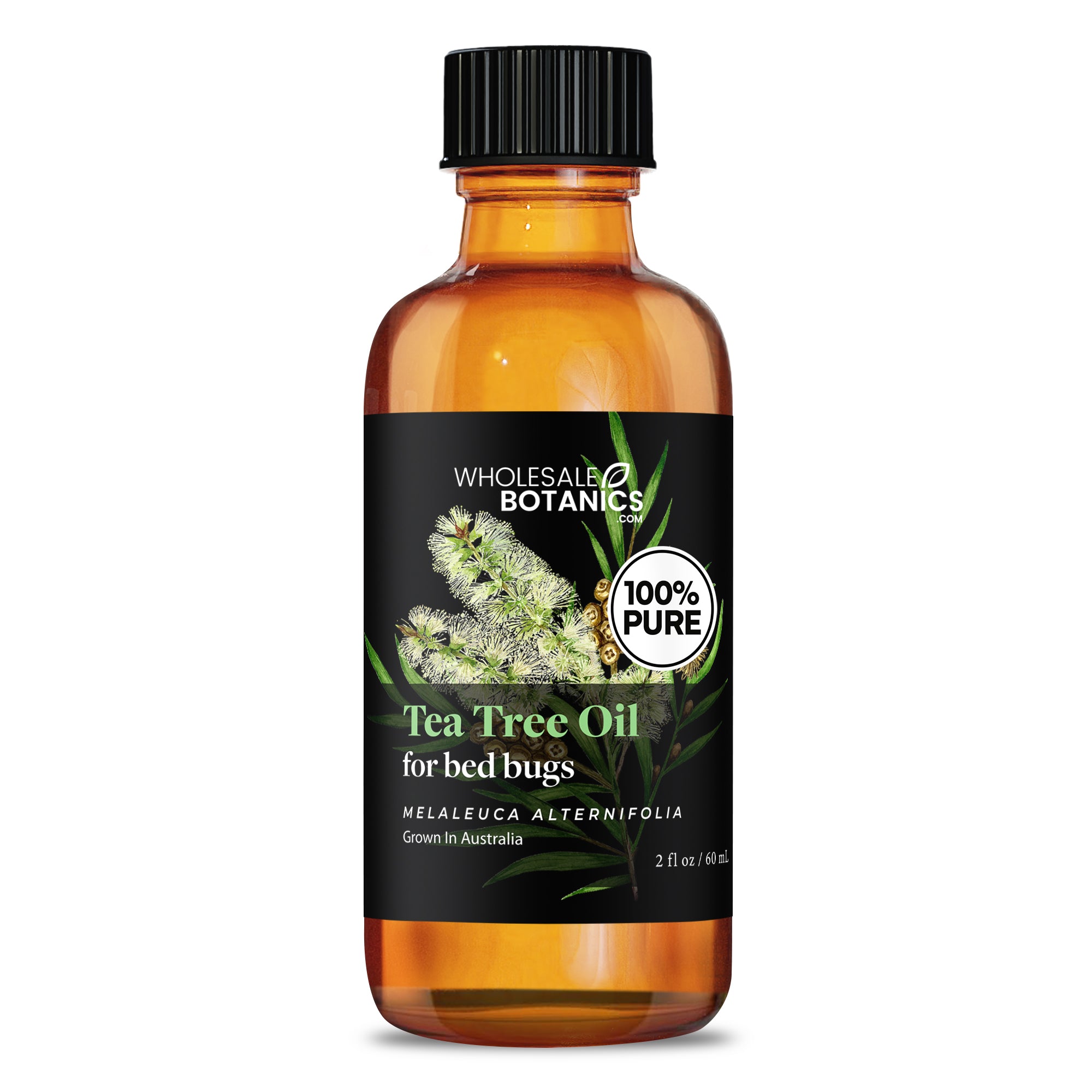 Tea Tree Oil for Bed Bugs
