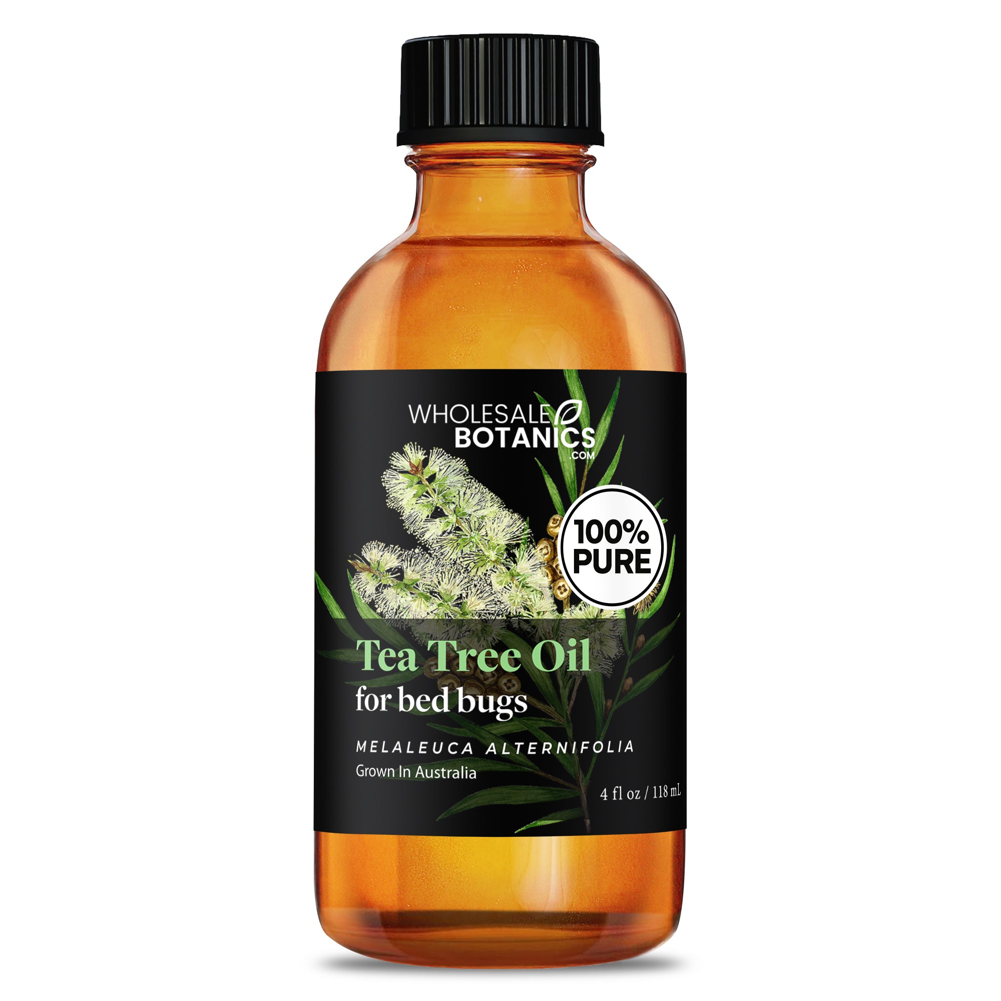 Tea Tree Oil for Bed Bugs