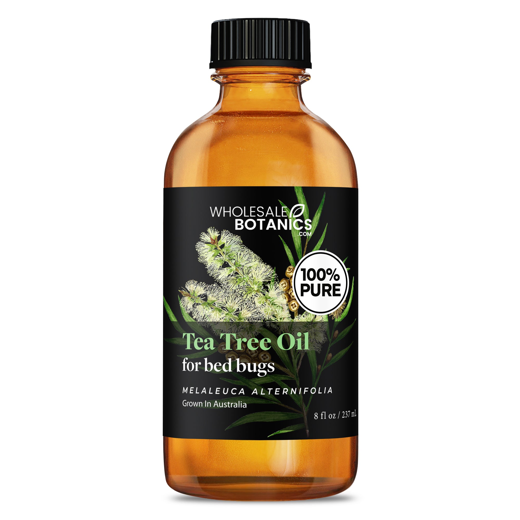 Tea Tree Oil for Bed Bugs