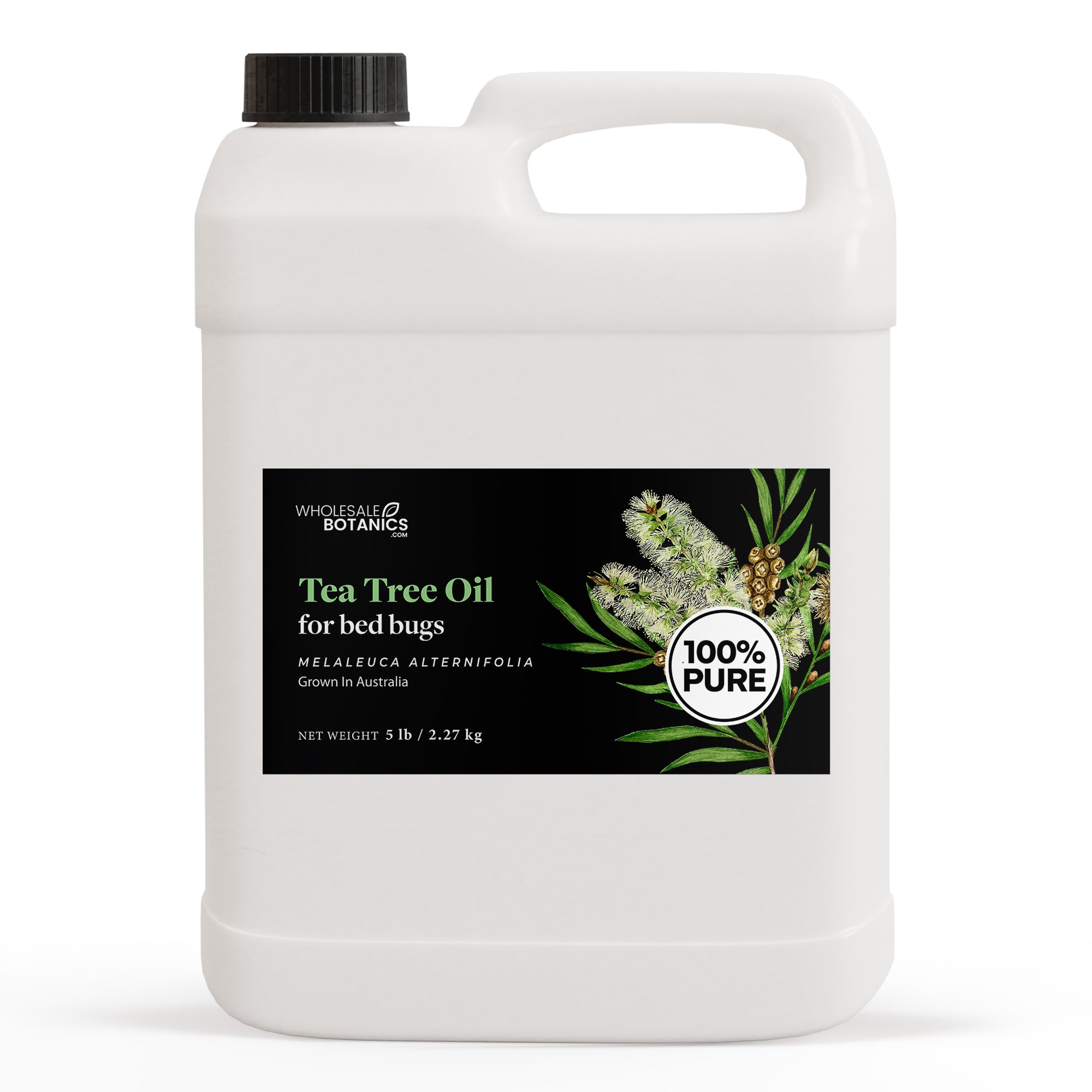 Tea Tree Oil for Bed Bugs