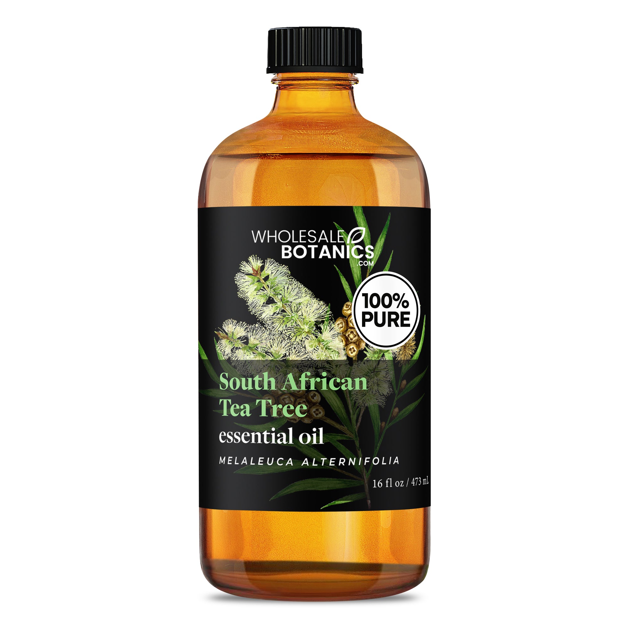 Tea Tree Essential Oil - South Africa