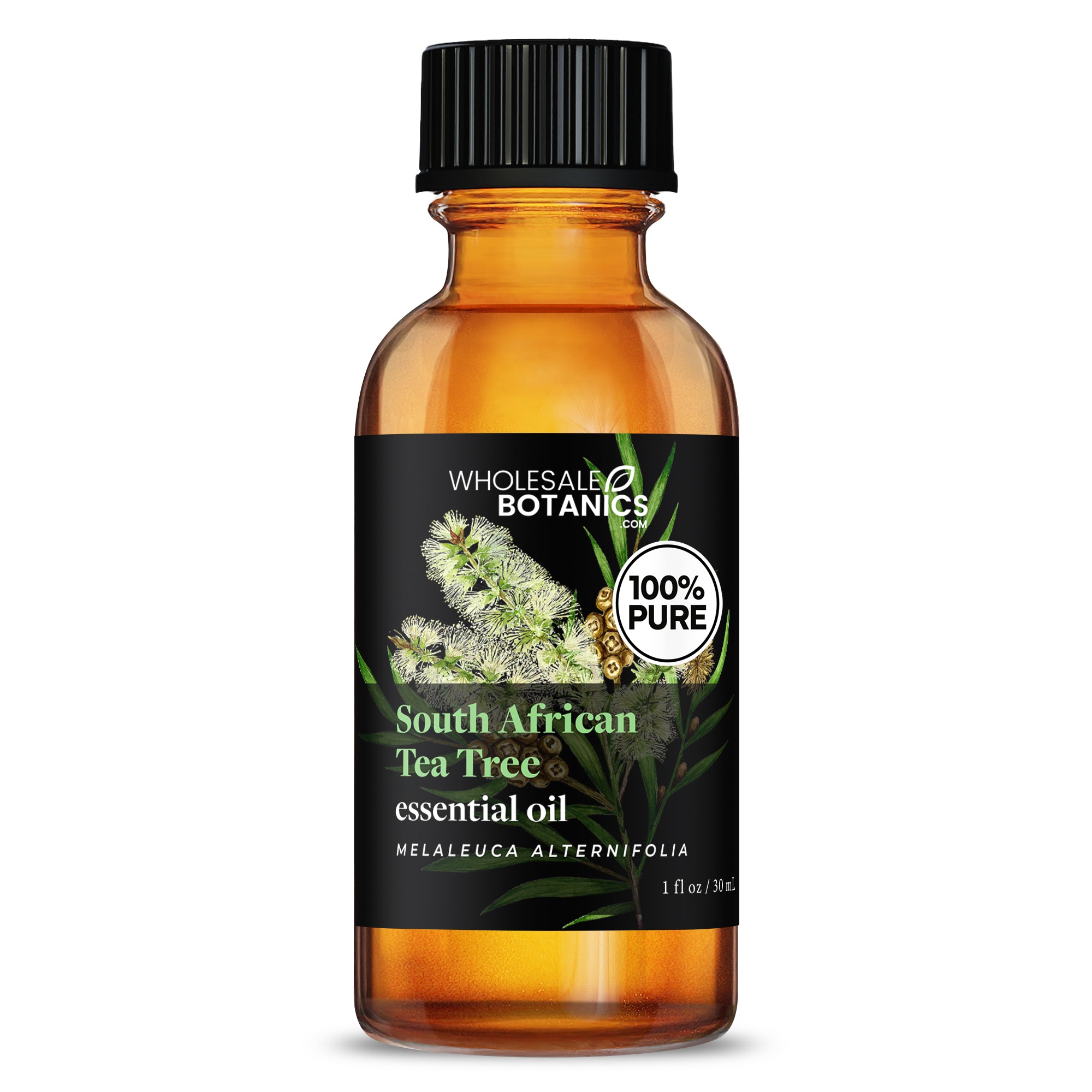 Tea Tree Essential Oil - South Africa