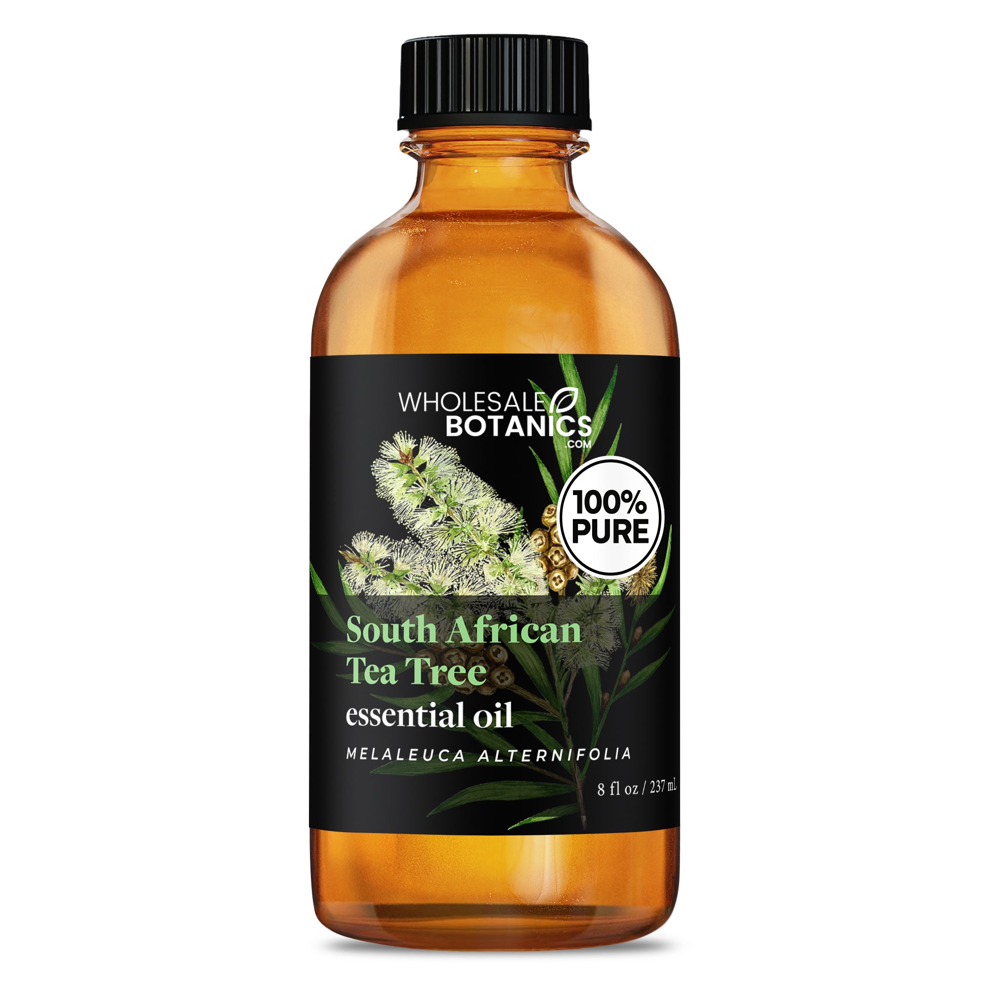 Tea Tree Essential Oil - South Africa