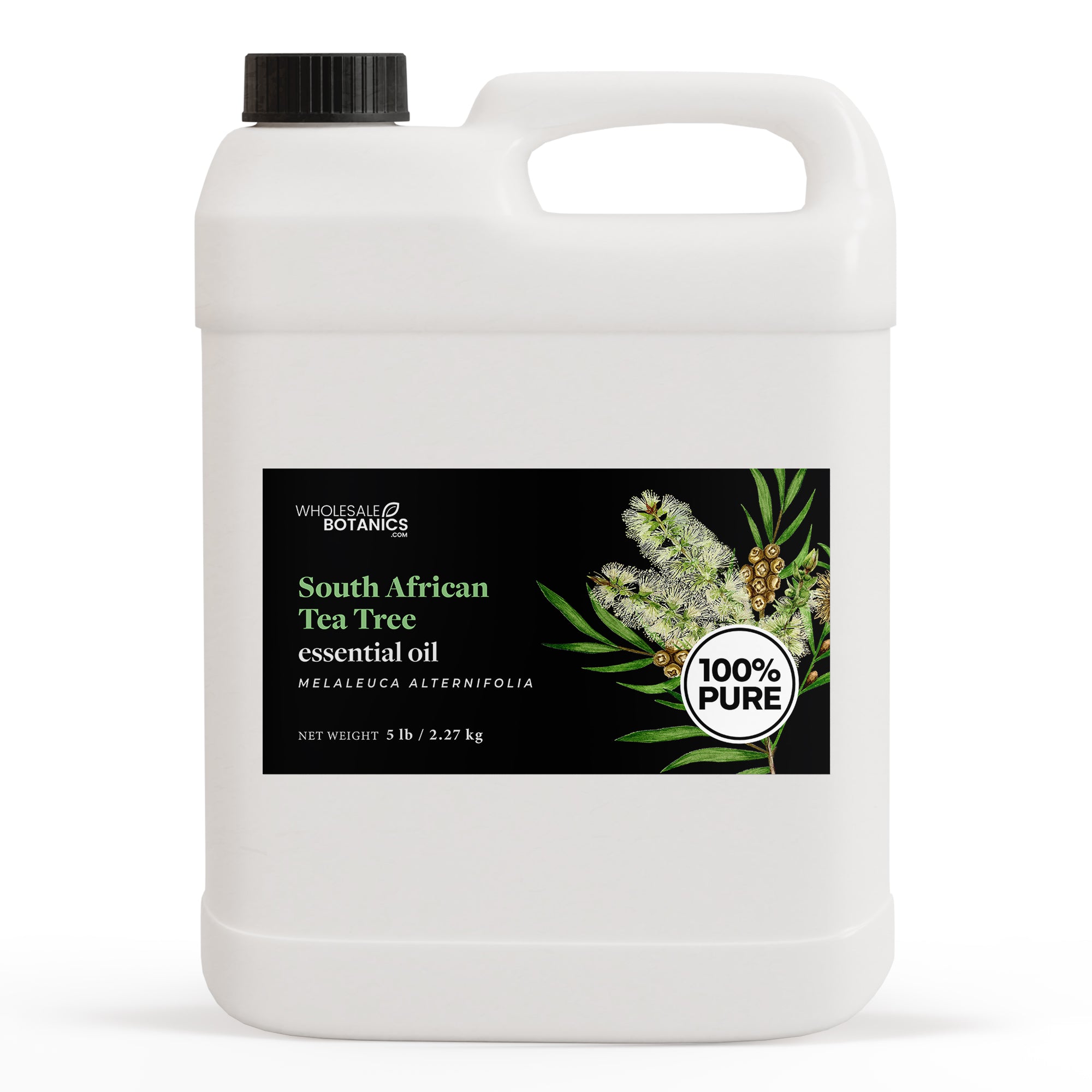 Tea Tree Essential Oil - South Africa