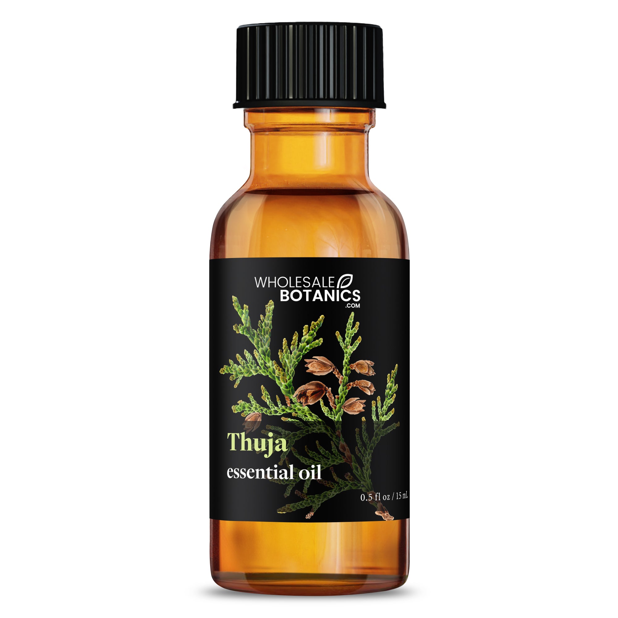Thuja Essential Oil