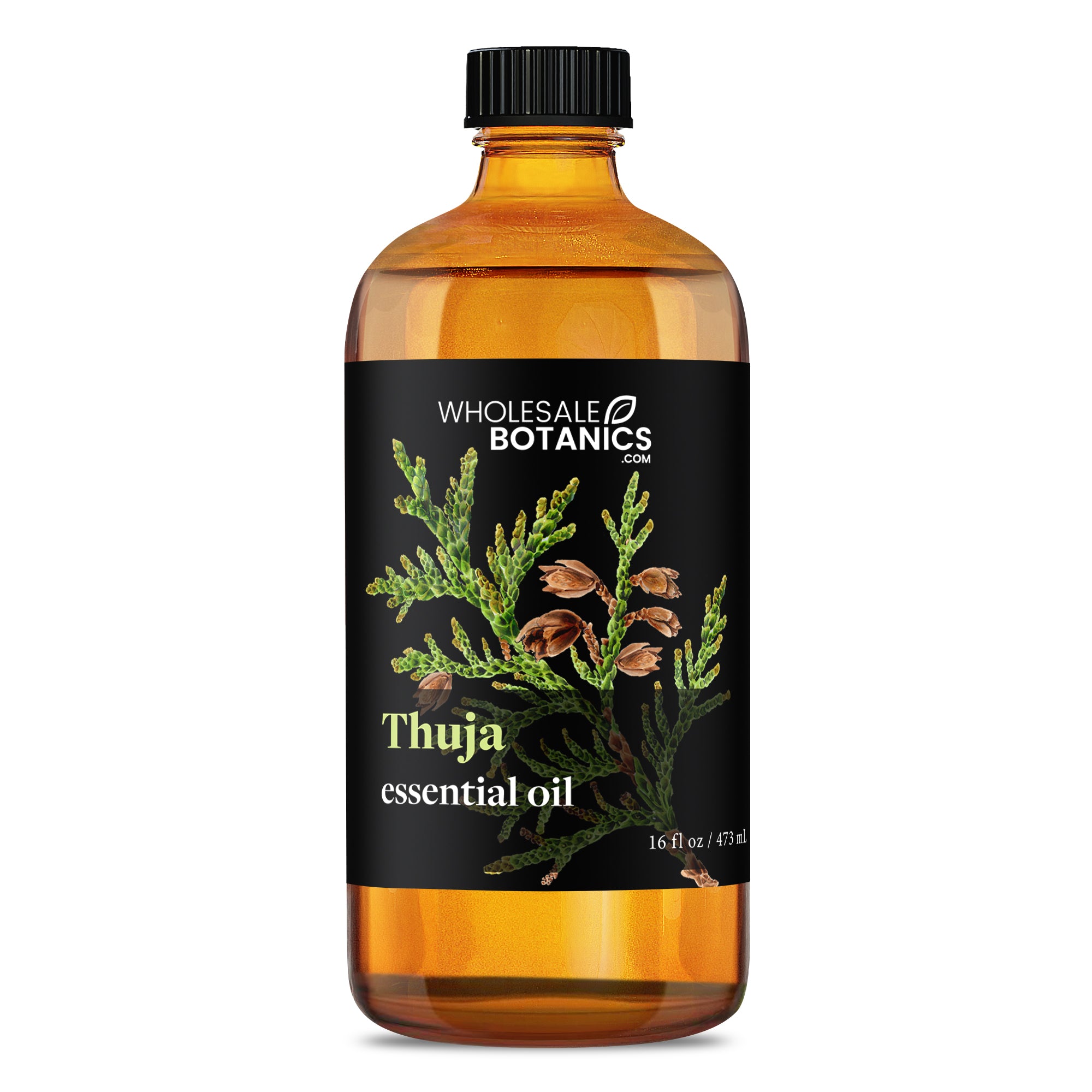 Thuja Essential Oil