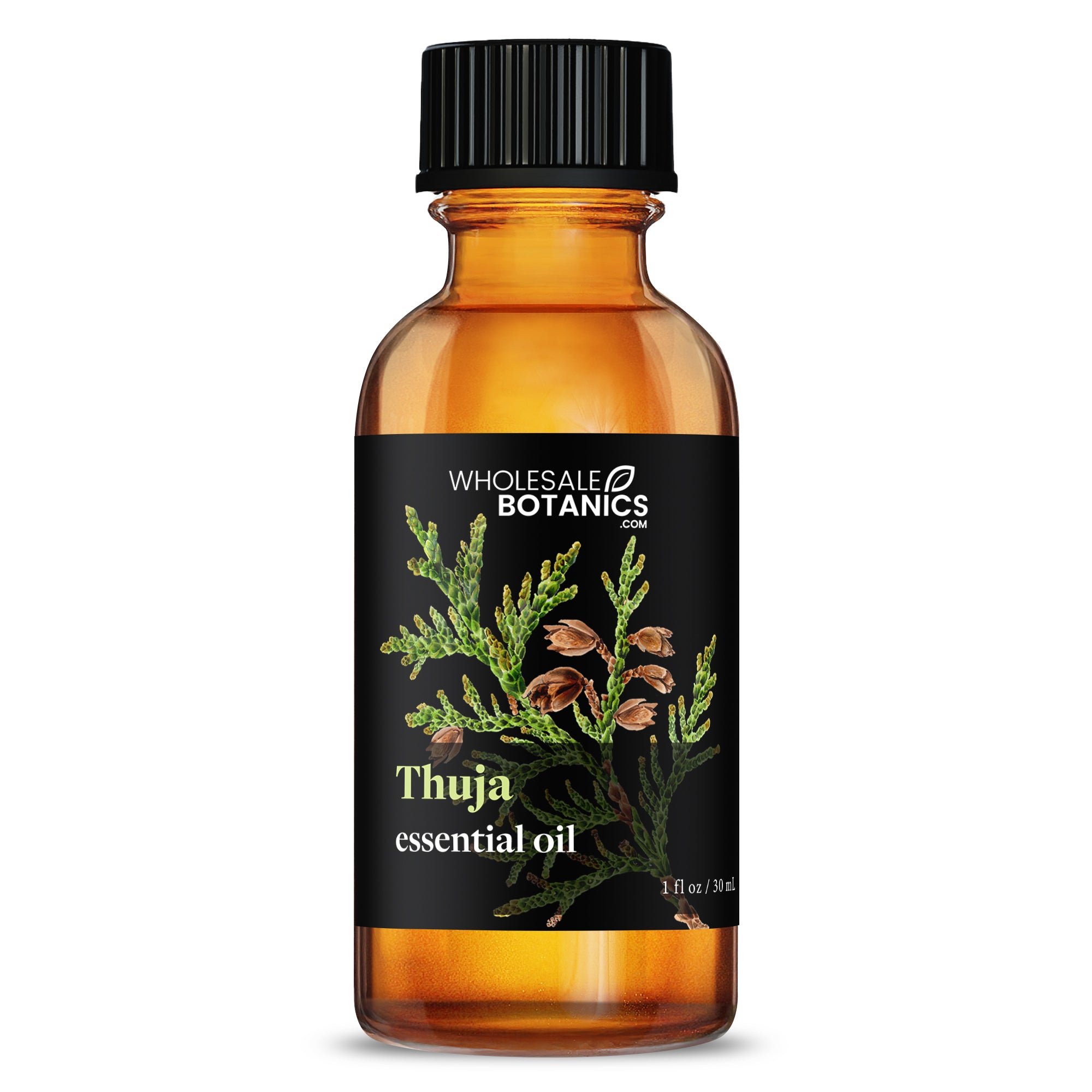 Thuja Essential Oil