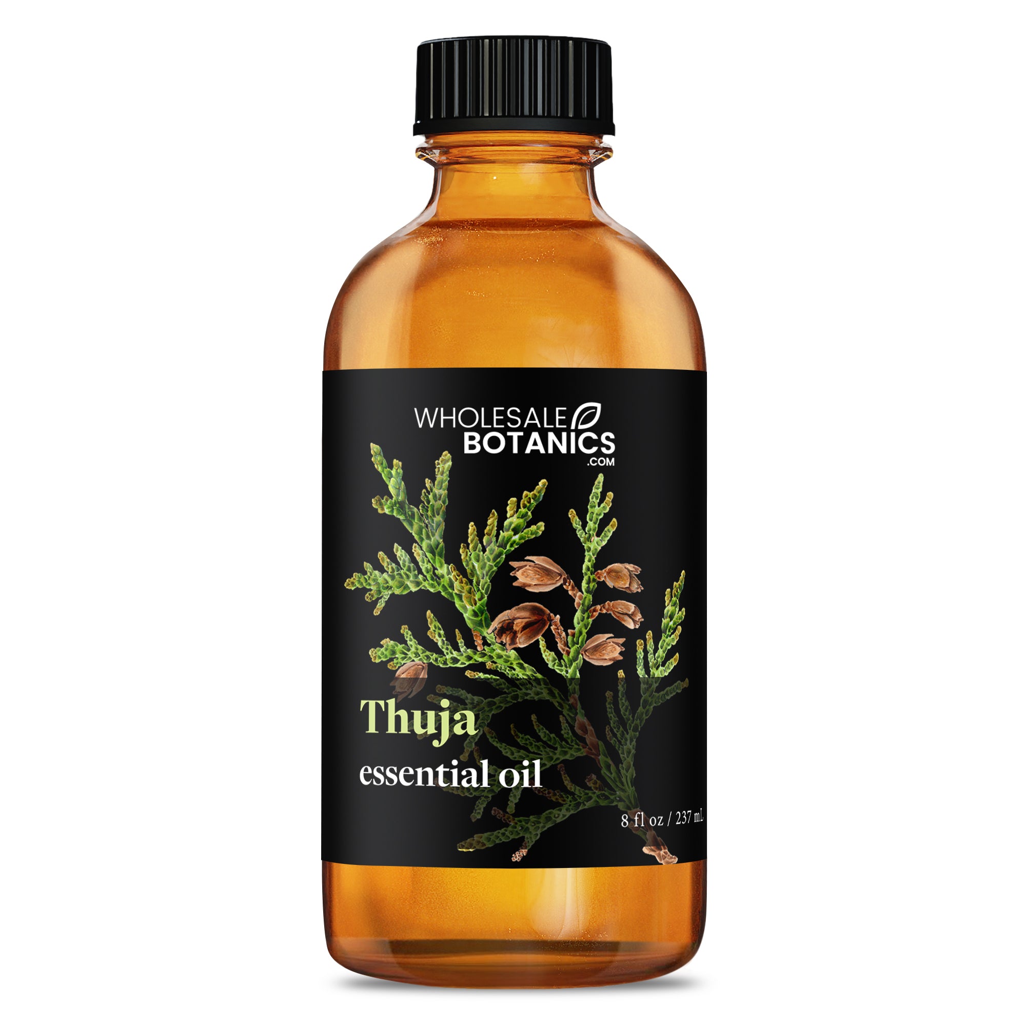 Thuja Essential Oil