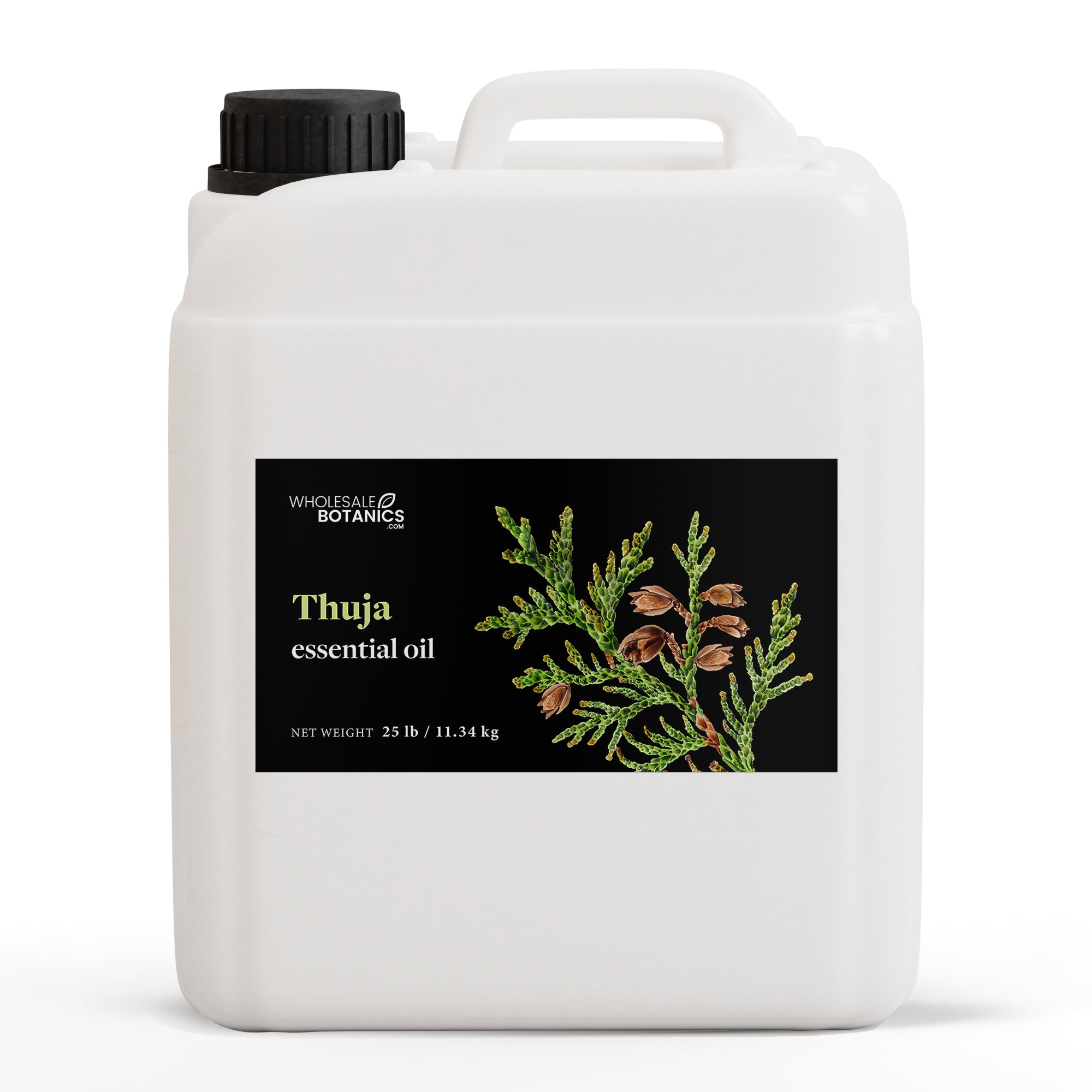 Thuja Essential Oil