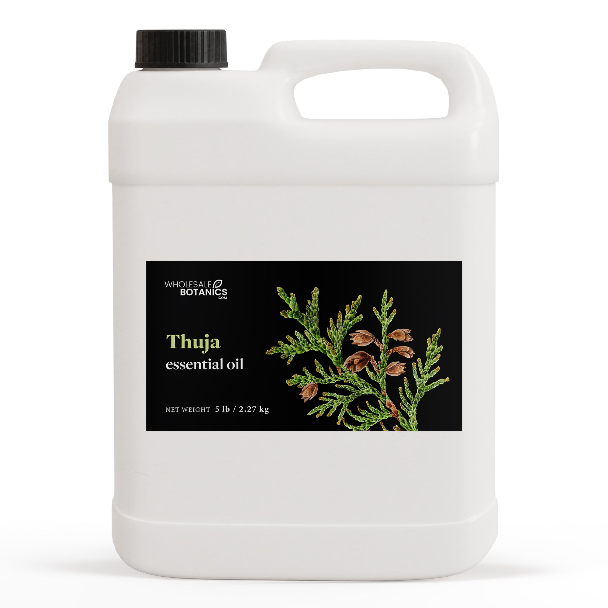 Thuja Essential Oil