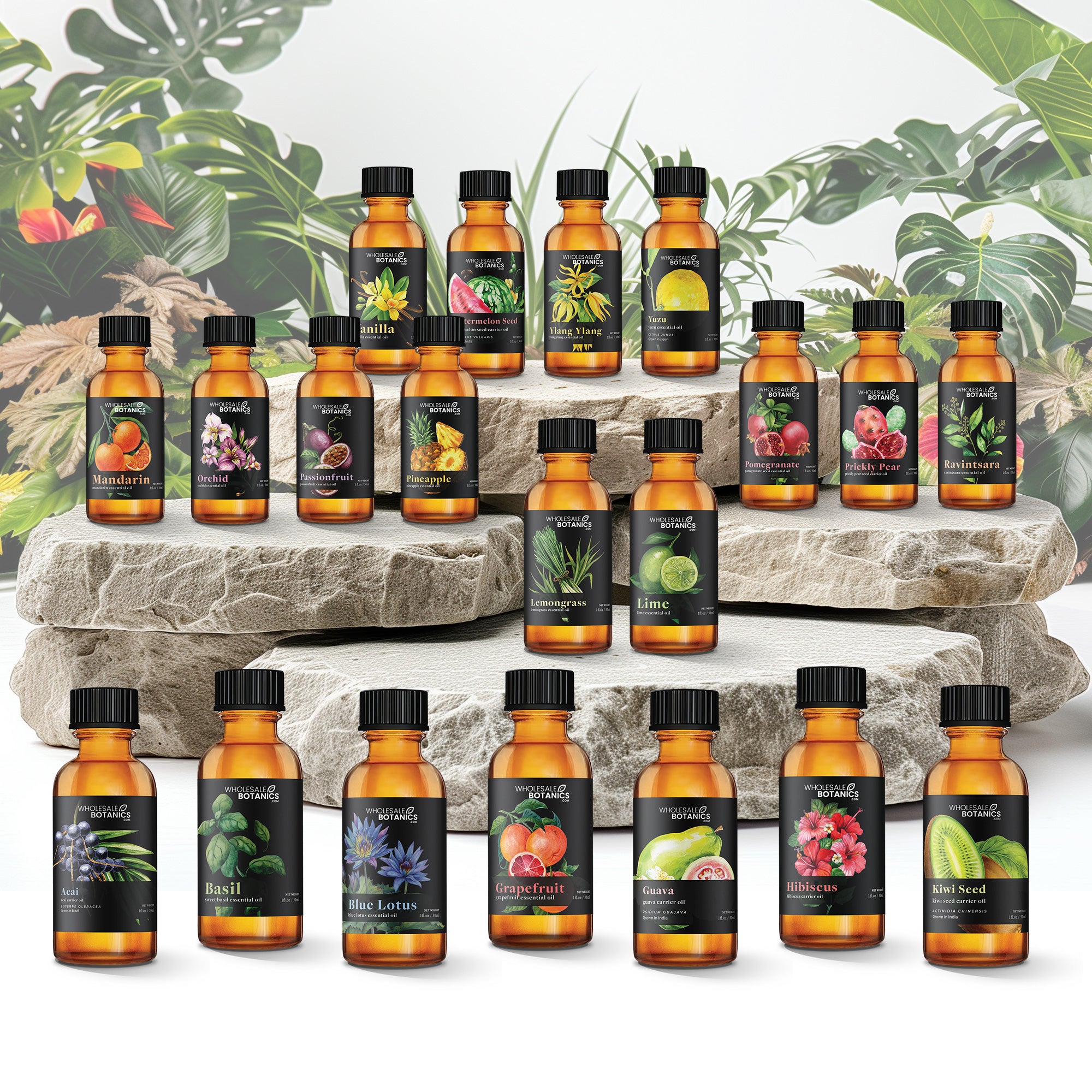 Tropical Treasures Oil Bundle