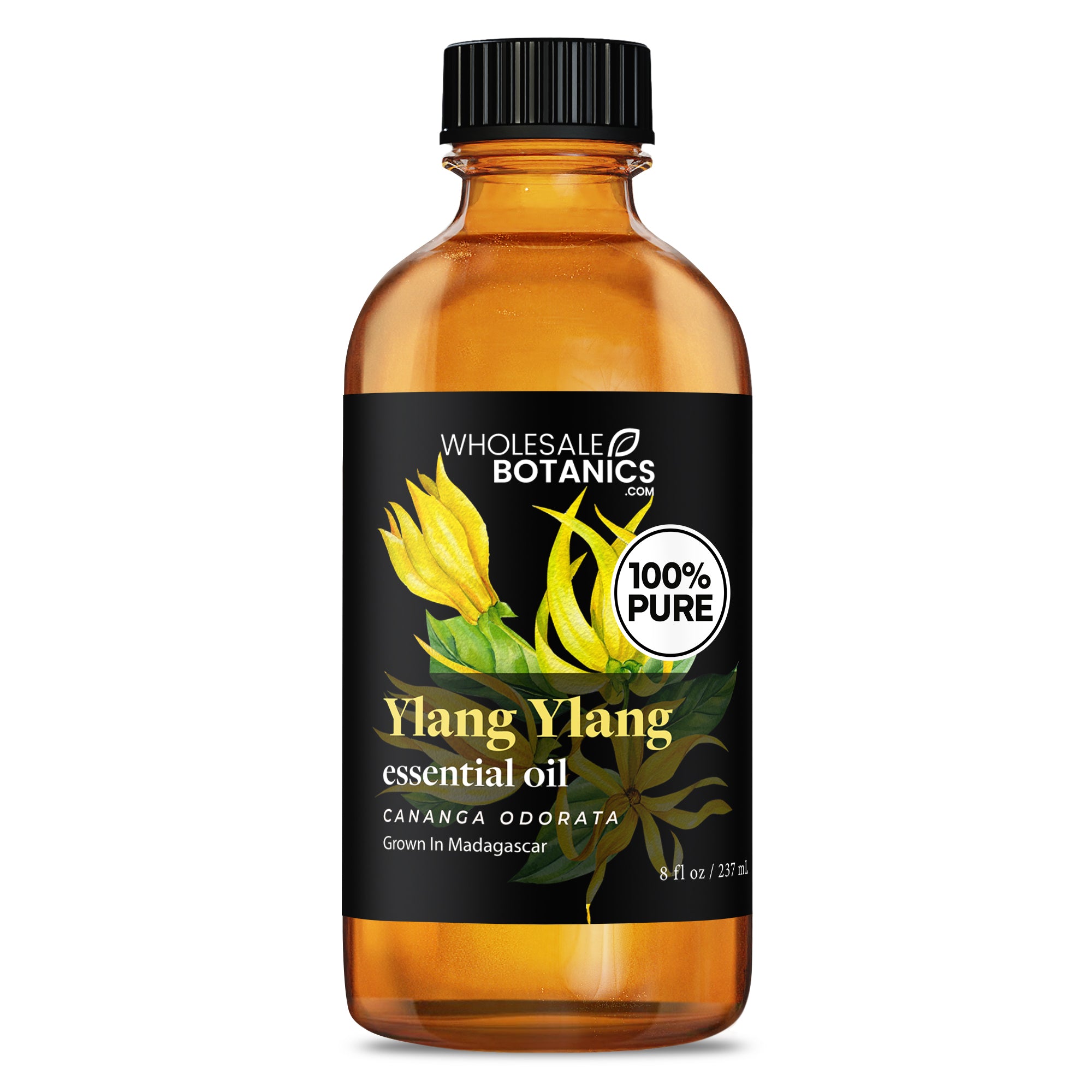 Ylang Ylang Essential Oil - Purity