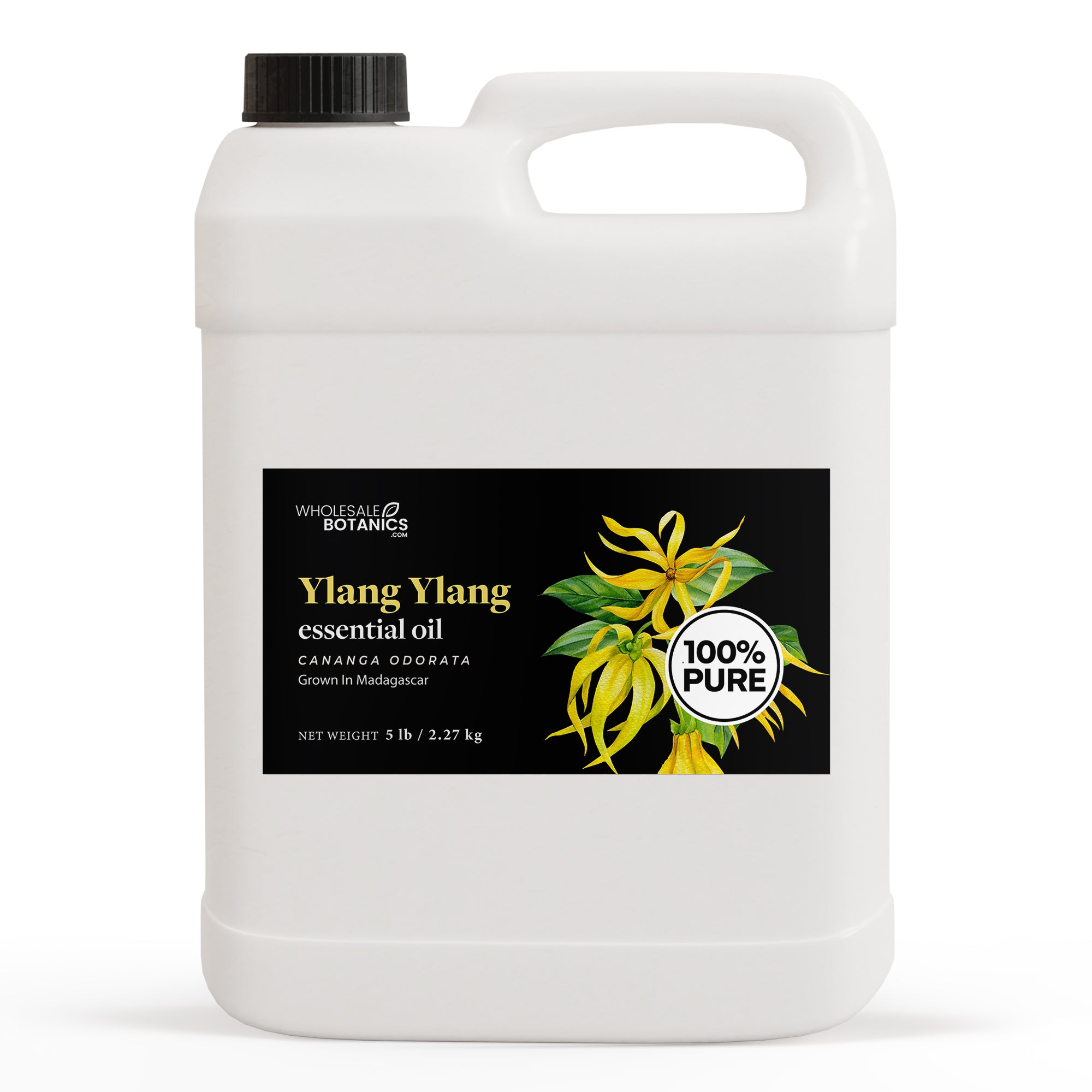 Ylang Ylang Essential Oil - Purity