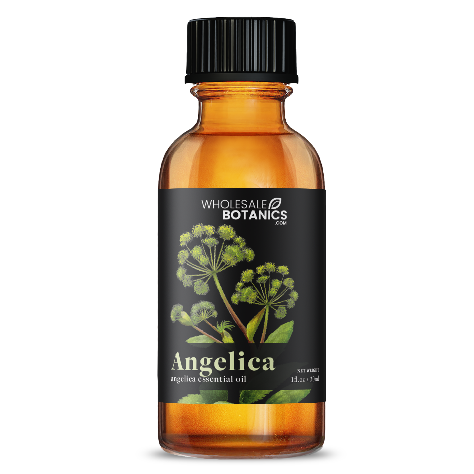 Angelica Essential Oil