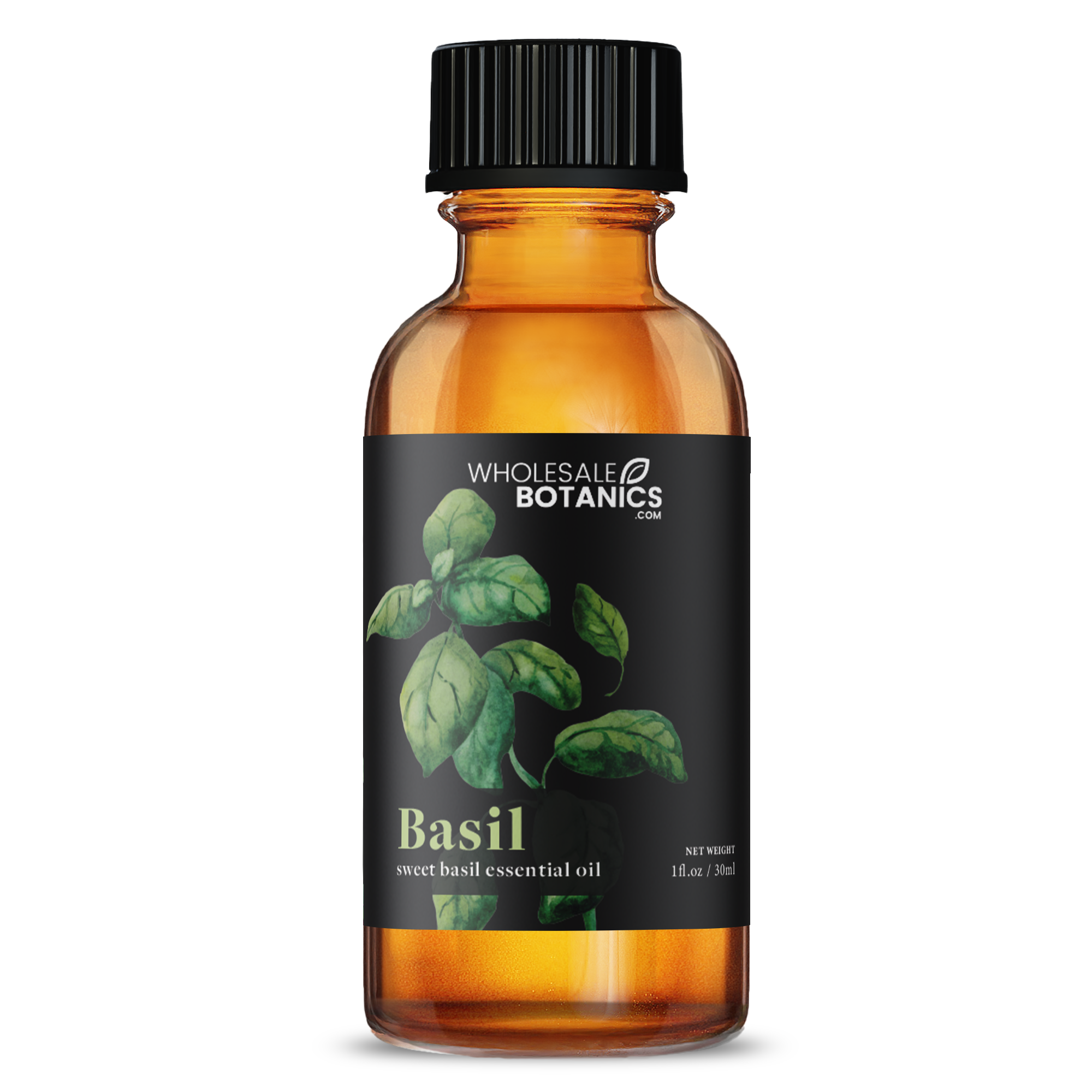 Basil Essential Oil (Sweet)