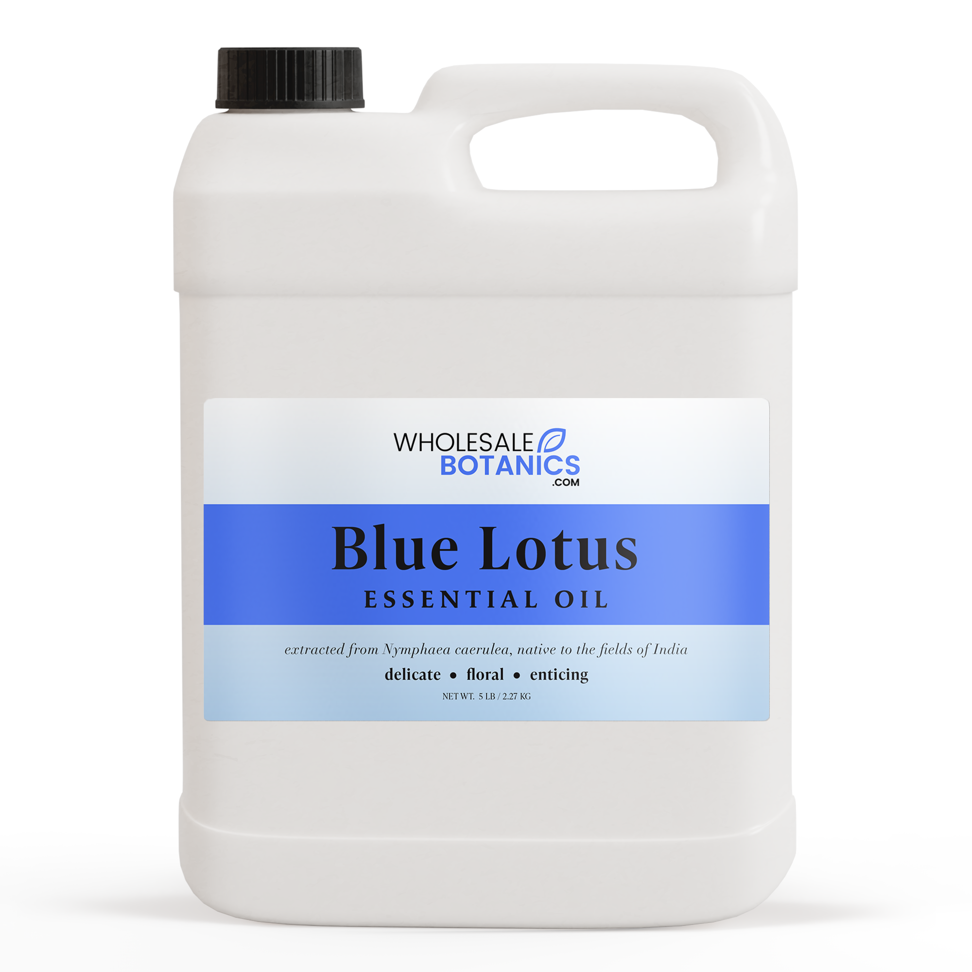 Blue Lotus Oil, Blue Lotus Oil Uses and Benefits, Blue Lotus Absolute IP  Perfumery Oil – Essential Oils Company