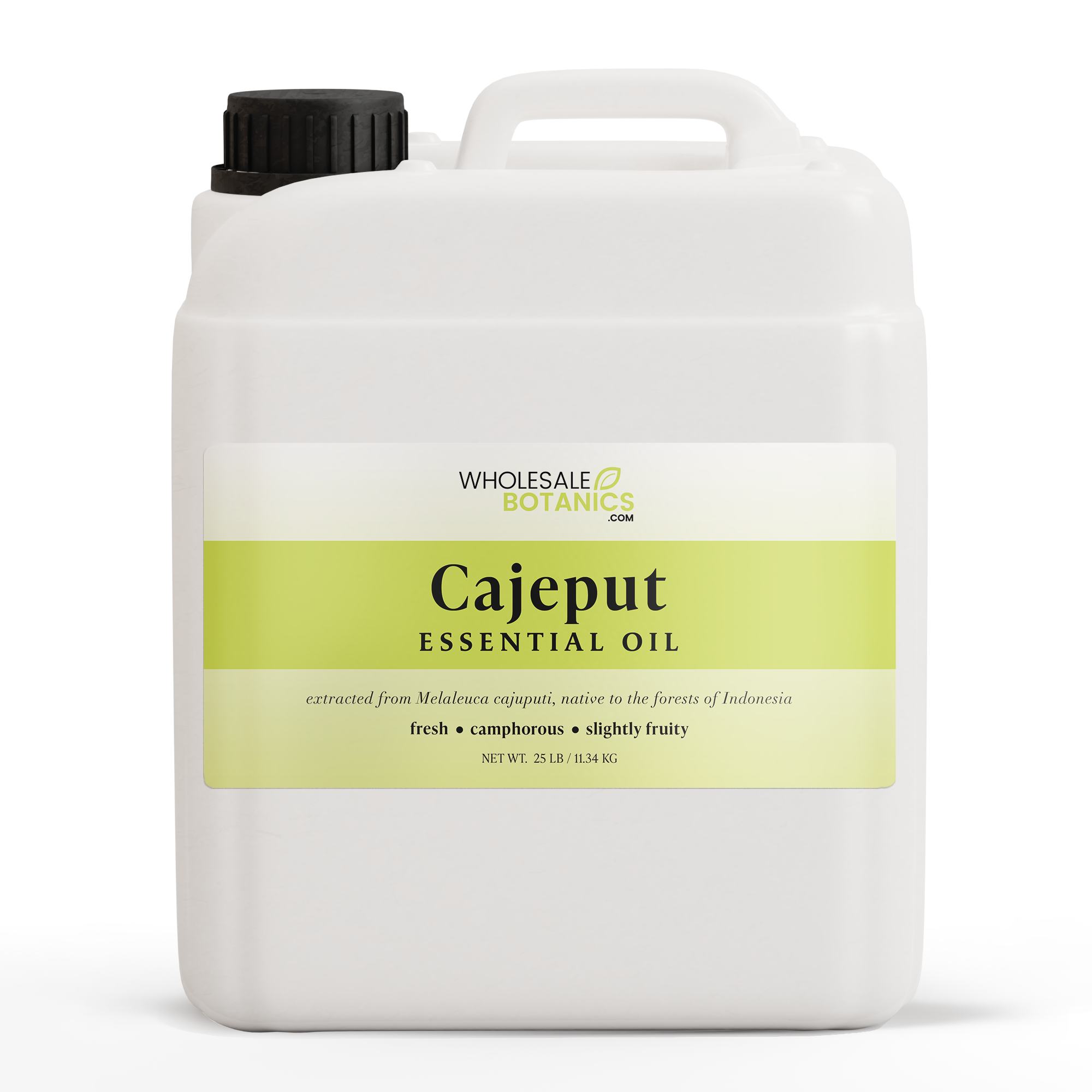 Cajeput Essential Oil