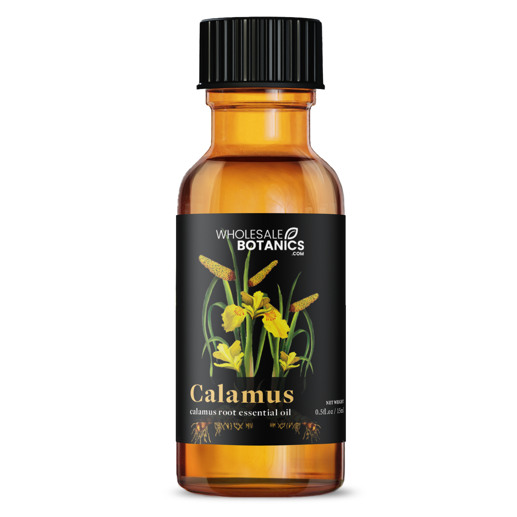 Calamus Essential Oil