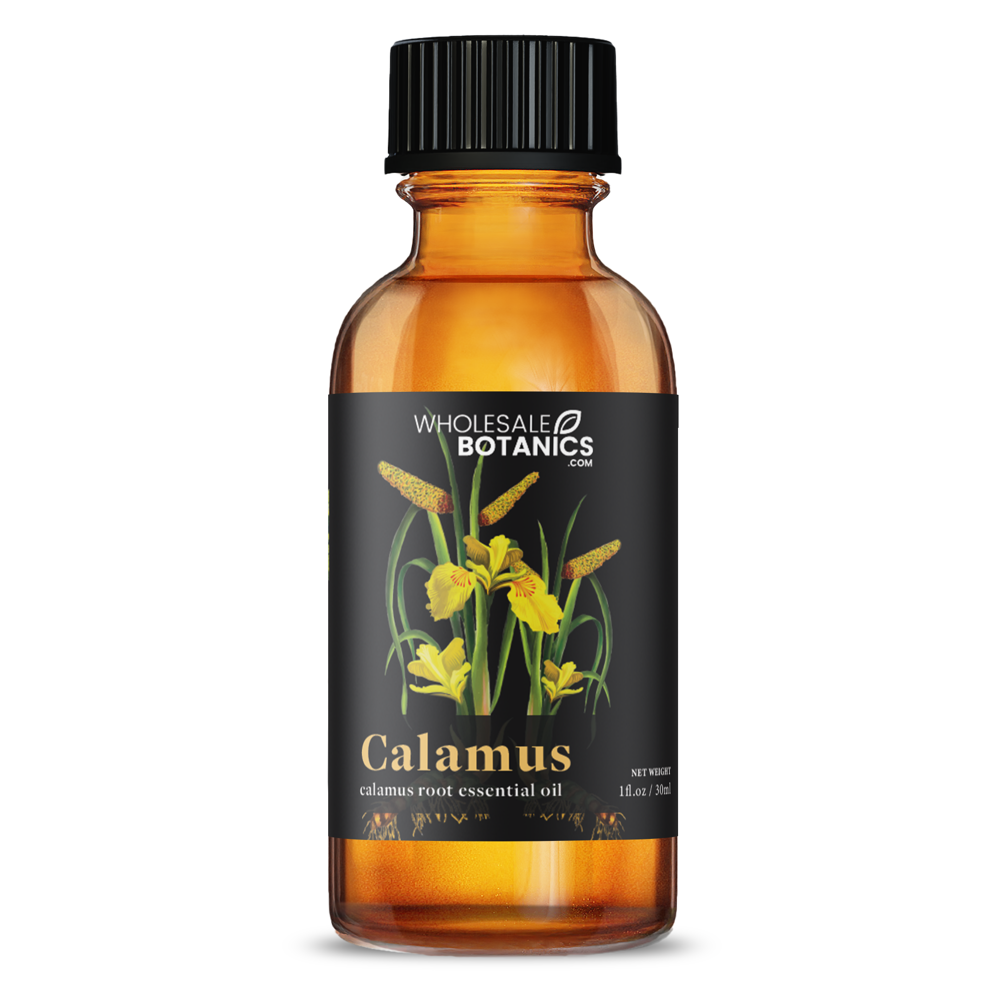Calamus Essential Oil