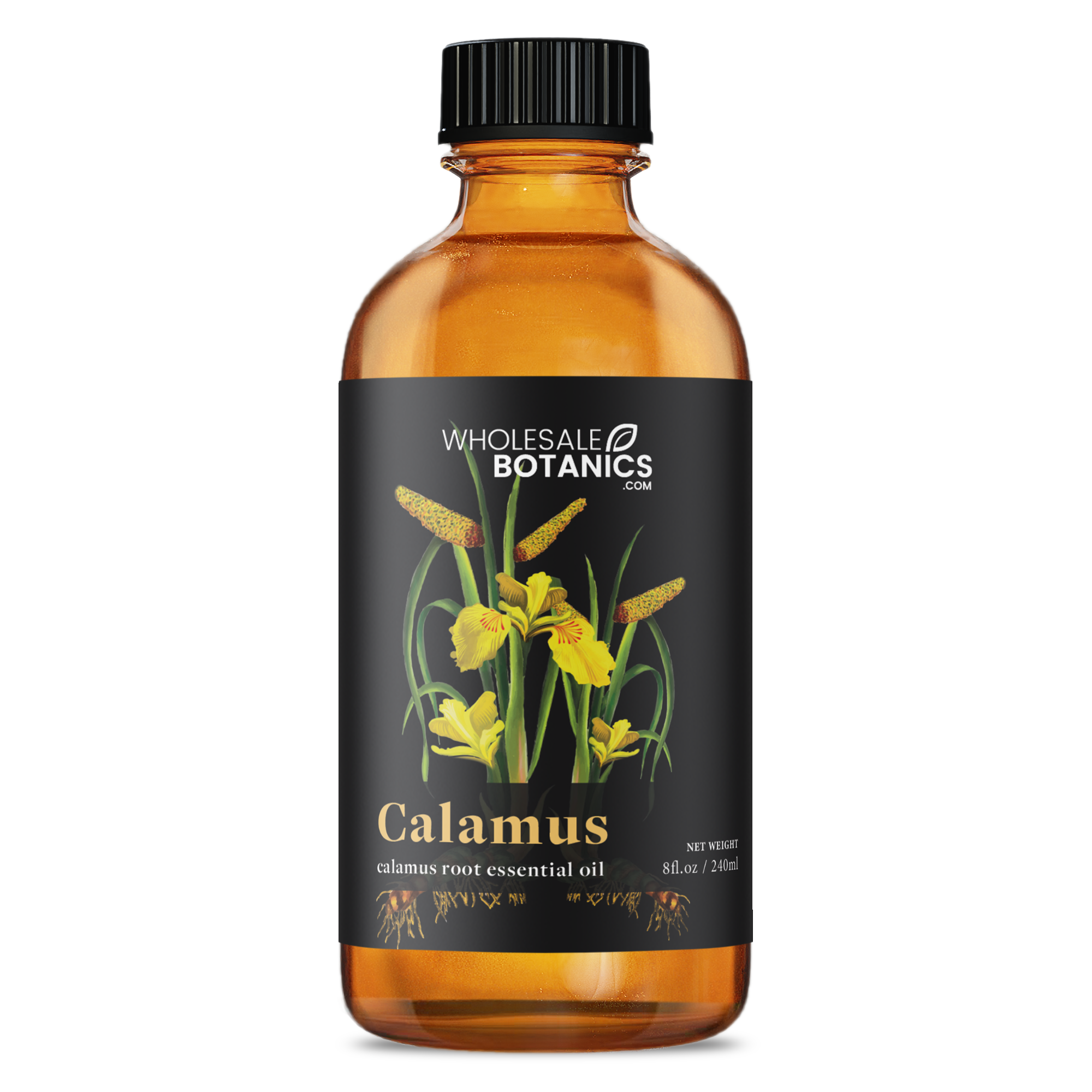Olio essenziale di calamo all'ingrosso per diffusore di aromi grado terapeutico Olio essenziale di calamo all'ingrosso per diffusore di aromi grado terapeutico