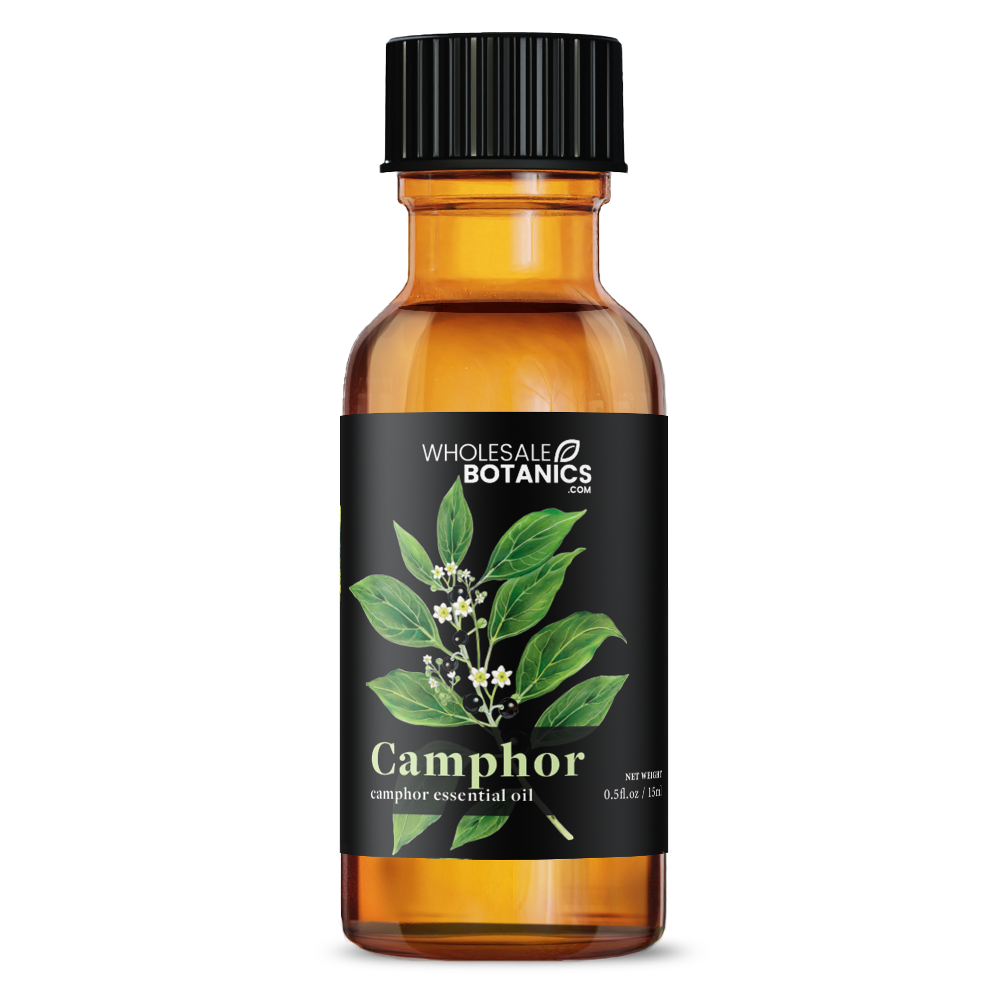 Camphor Essential Oil