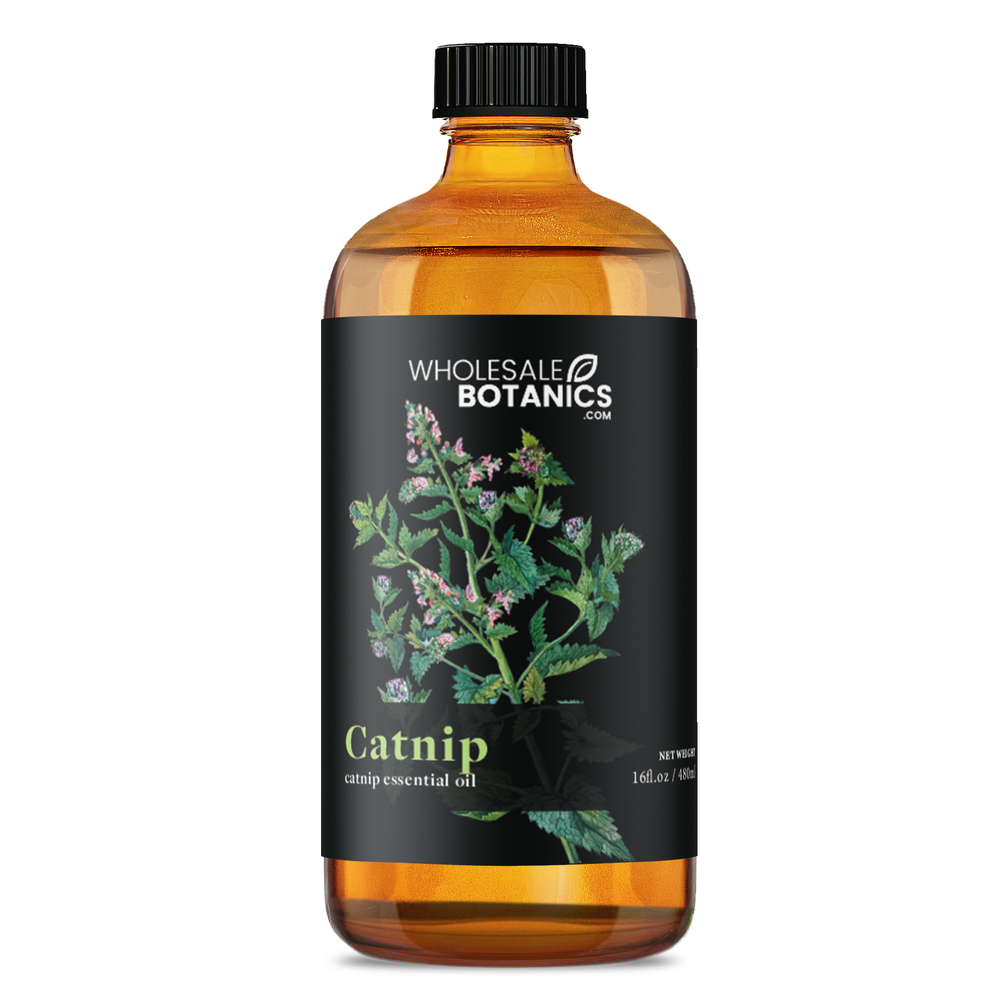 Catnip Essential Oil