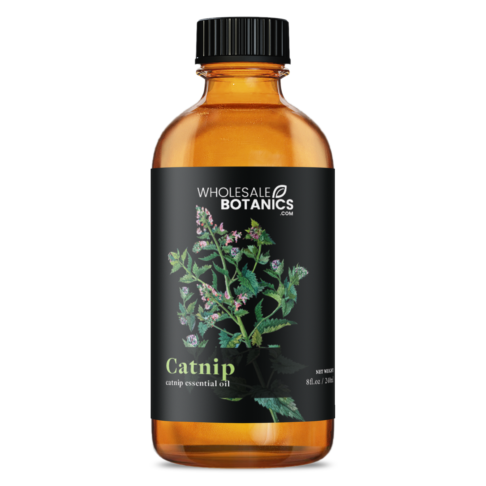 Catnip Essential Oil