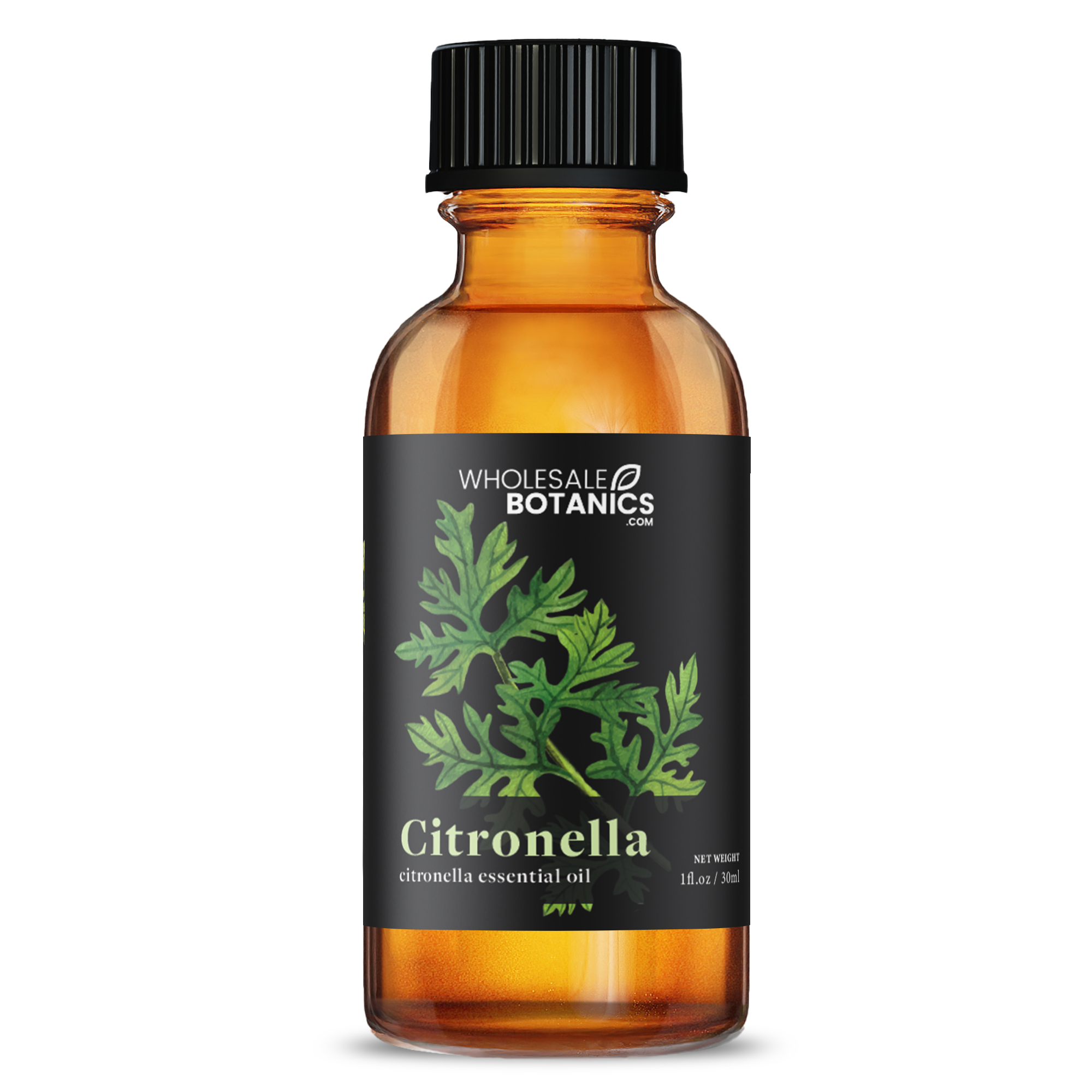 Citronella Fragrance Oil 1 oz Bottle