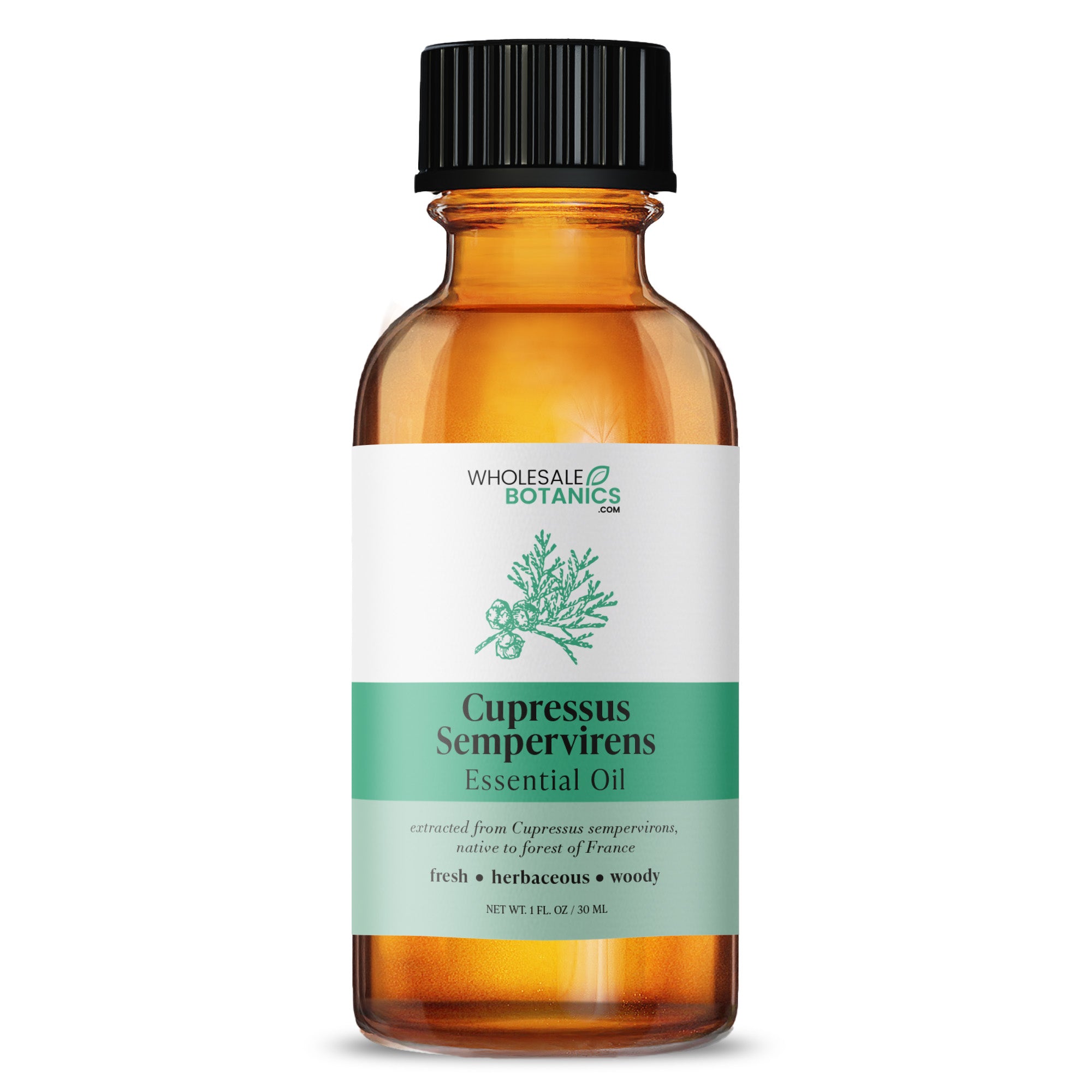 Cupressus Sempervirens Essential Oil