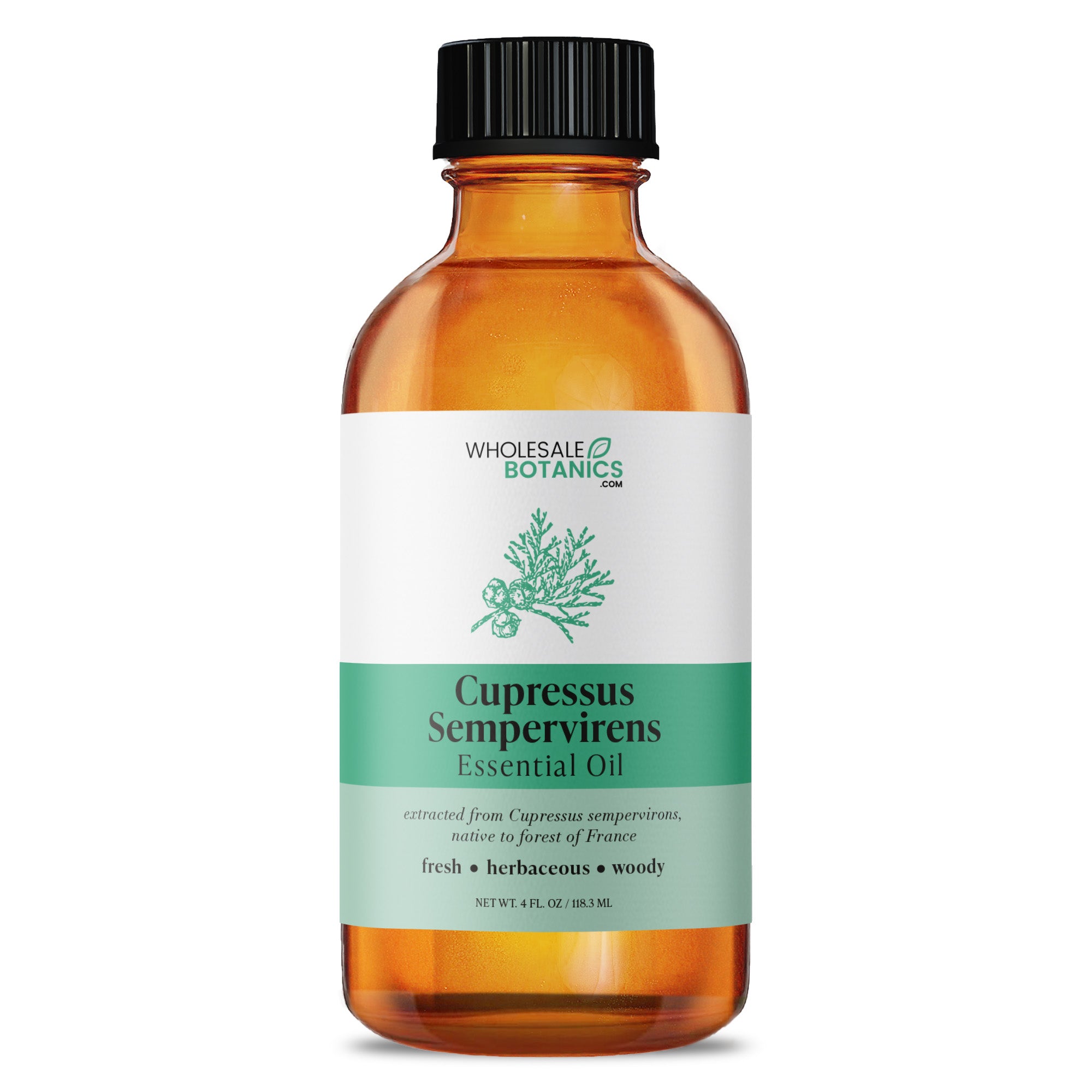 Cupressus Sempervirens Essential Oil