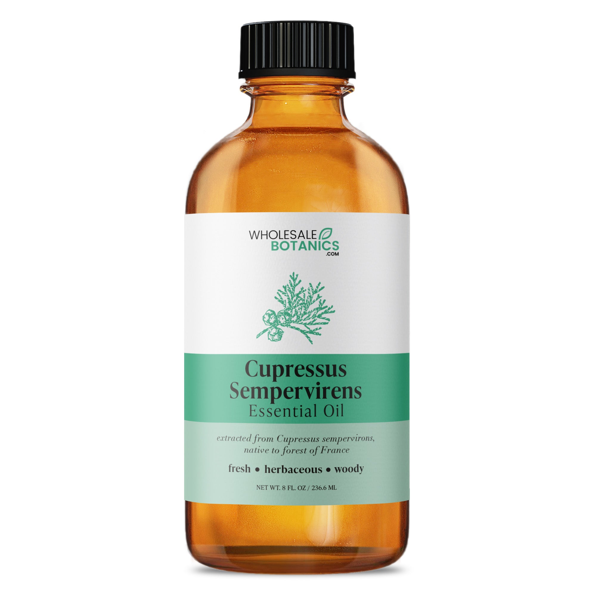 Cupressus Sempervirens Essential Oil