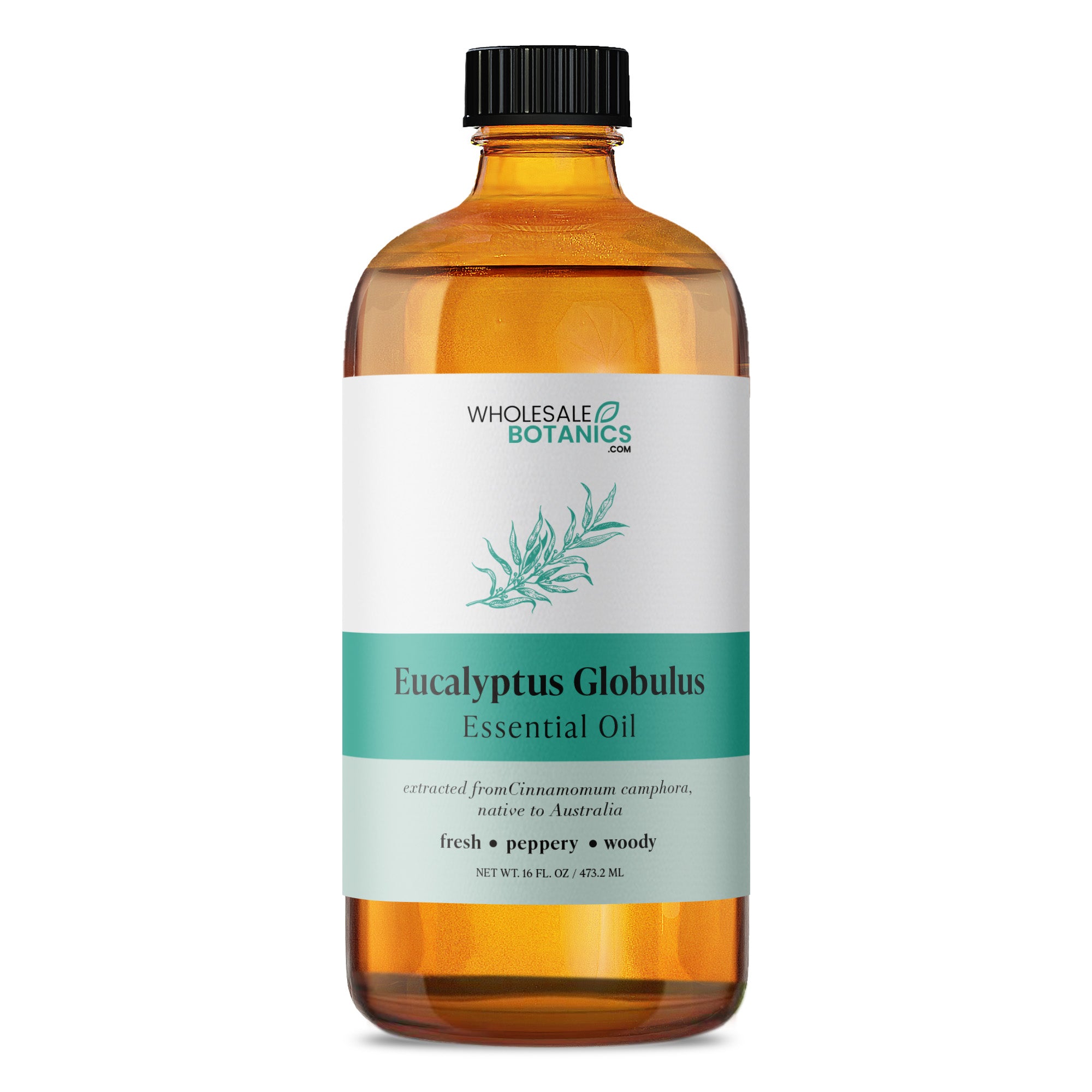 Eucalyptus Globulus Essential Oil