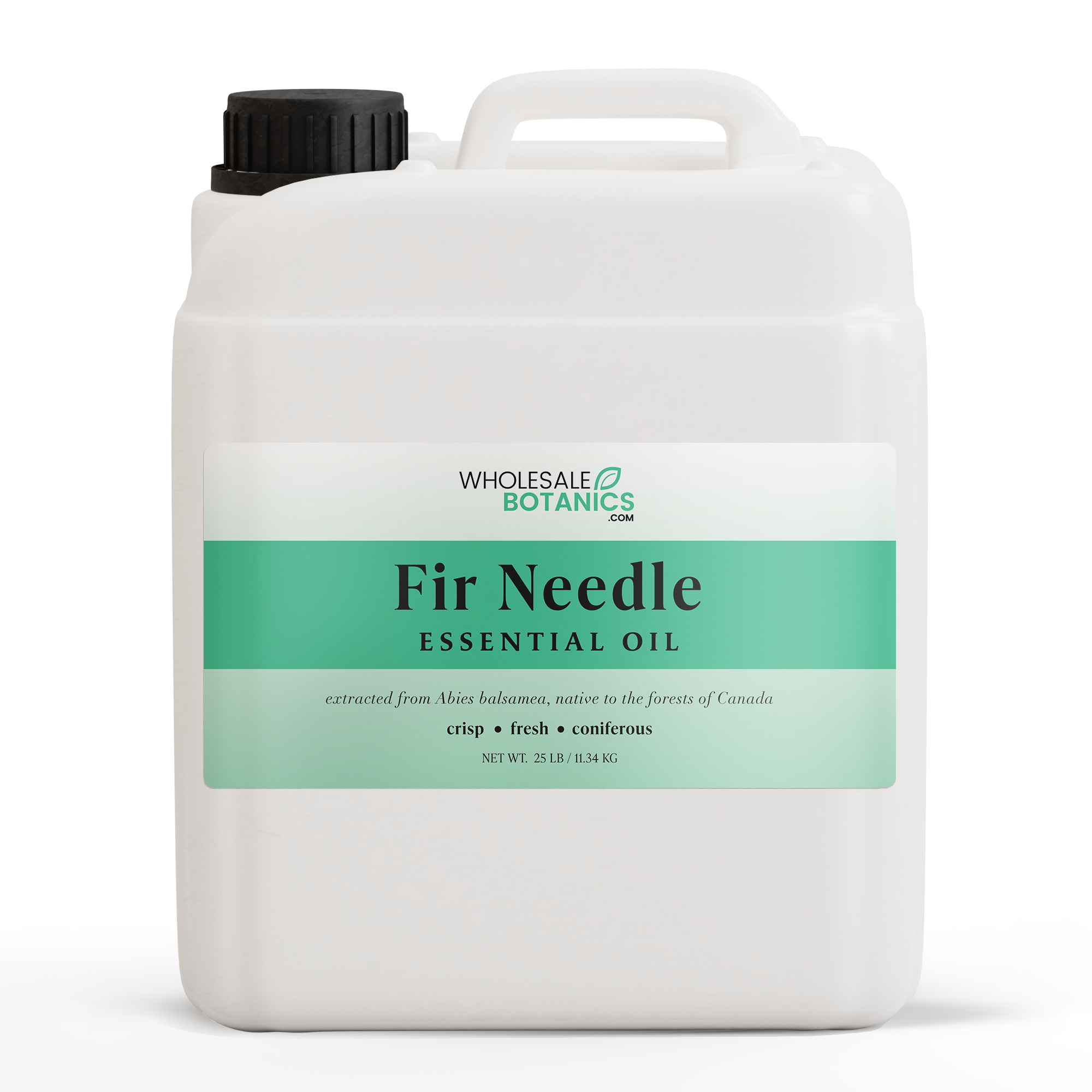 Fir Needle Essential Oil