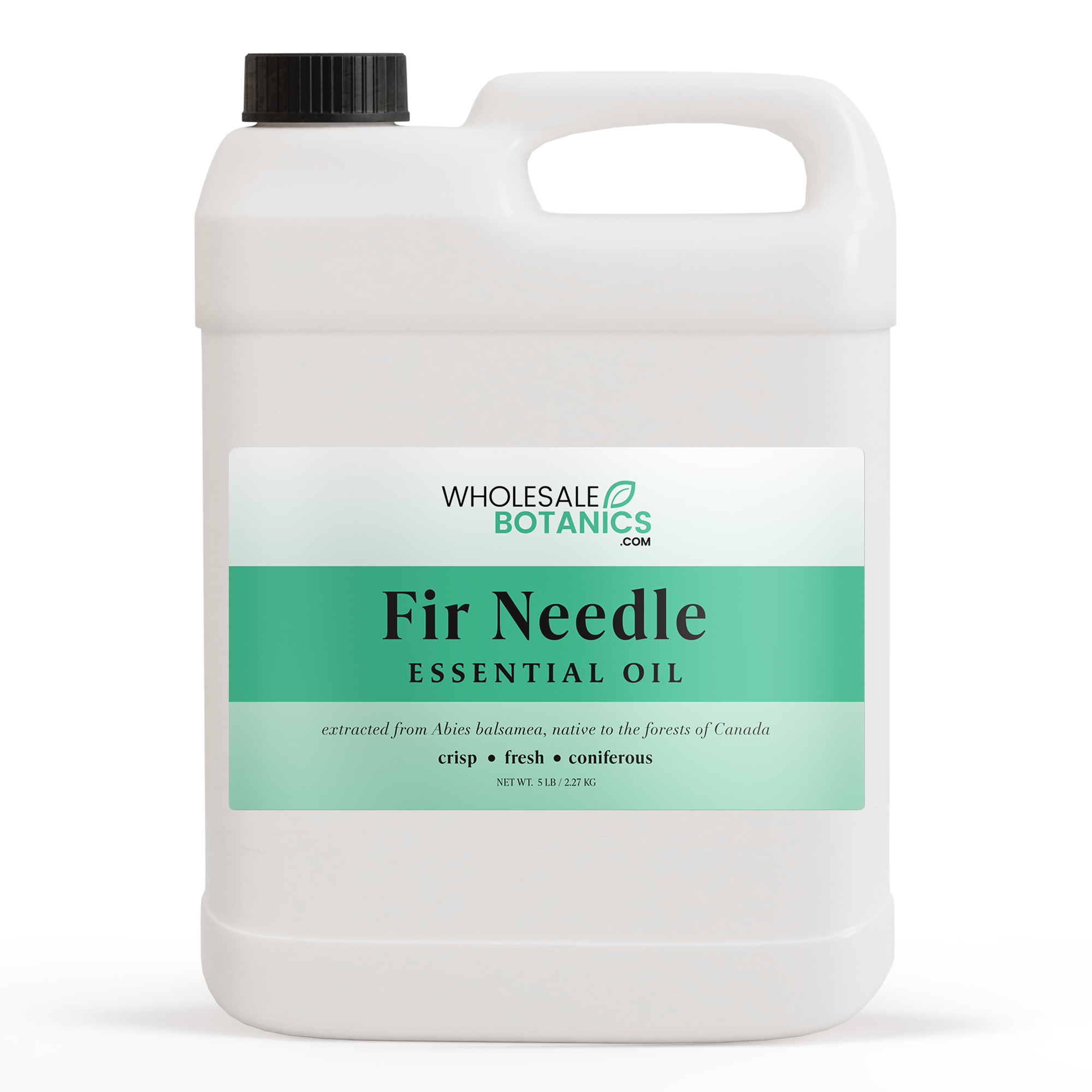 Fir Needle Essential Oil