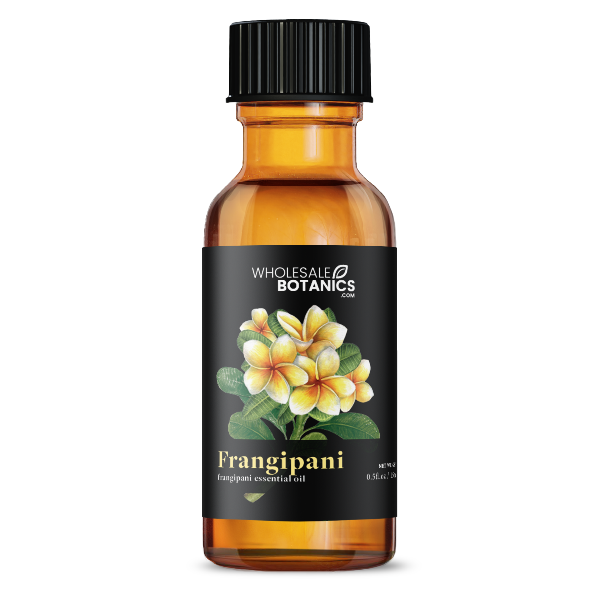 Frangipani Oil