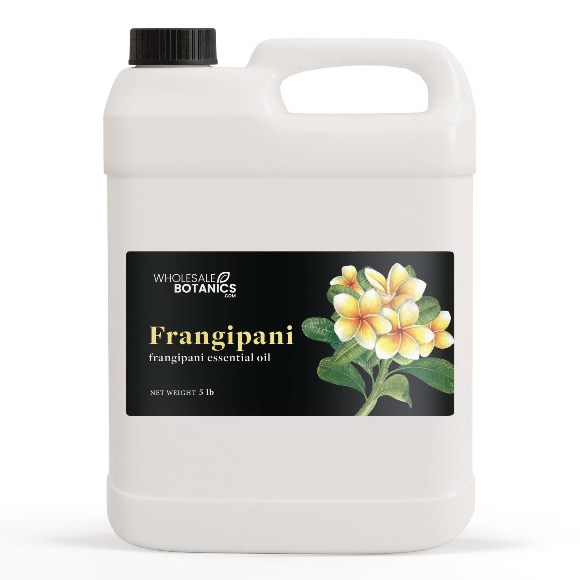 Frangipani Absolute Oil - Frangipani Essential Oil – Essential Oils Company