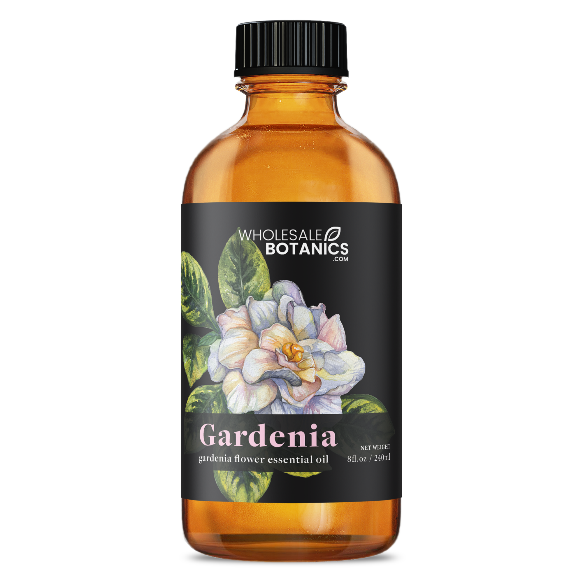 Gardenia Absolute Uses and Benefits, Gardenia Absolute Wholesale