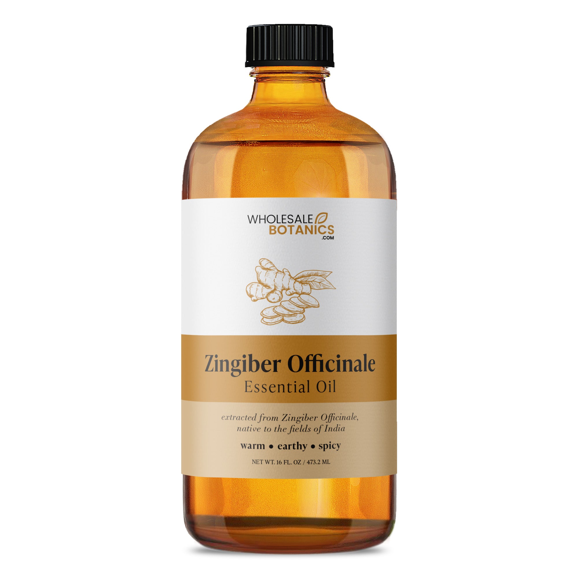 Zingiber Officinale Essential Oil