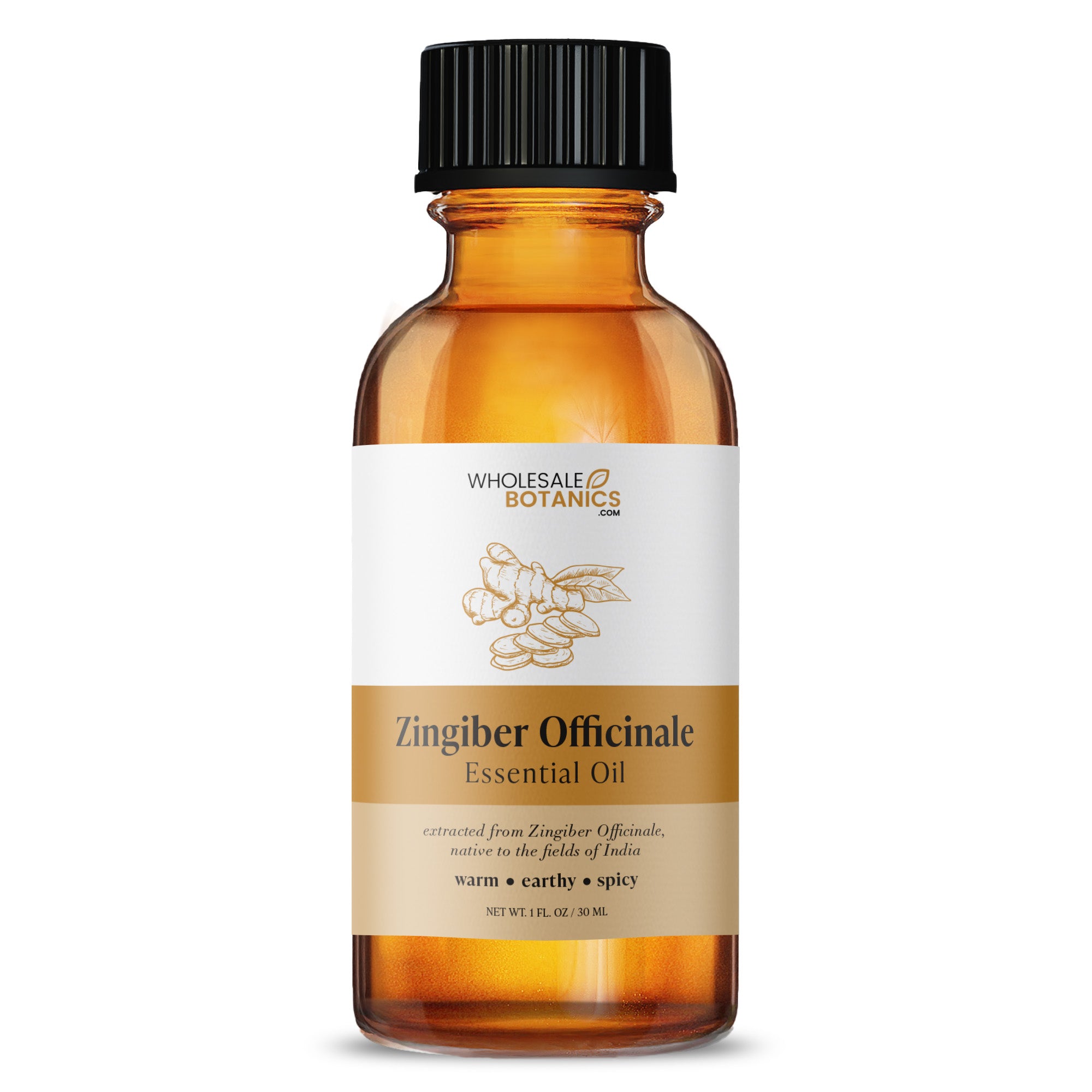 Zingiber Officinale Essential Oil