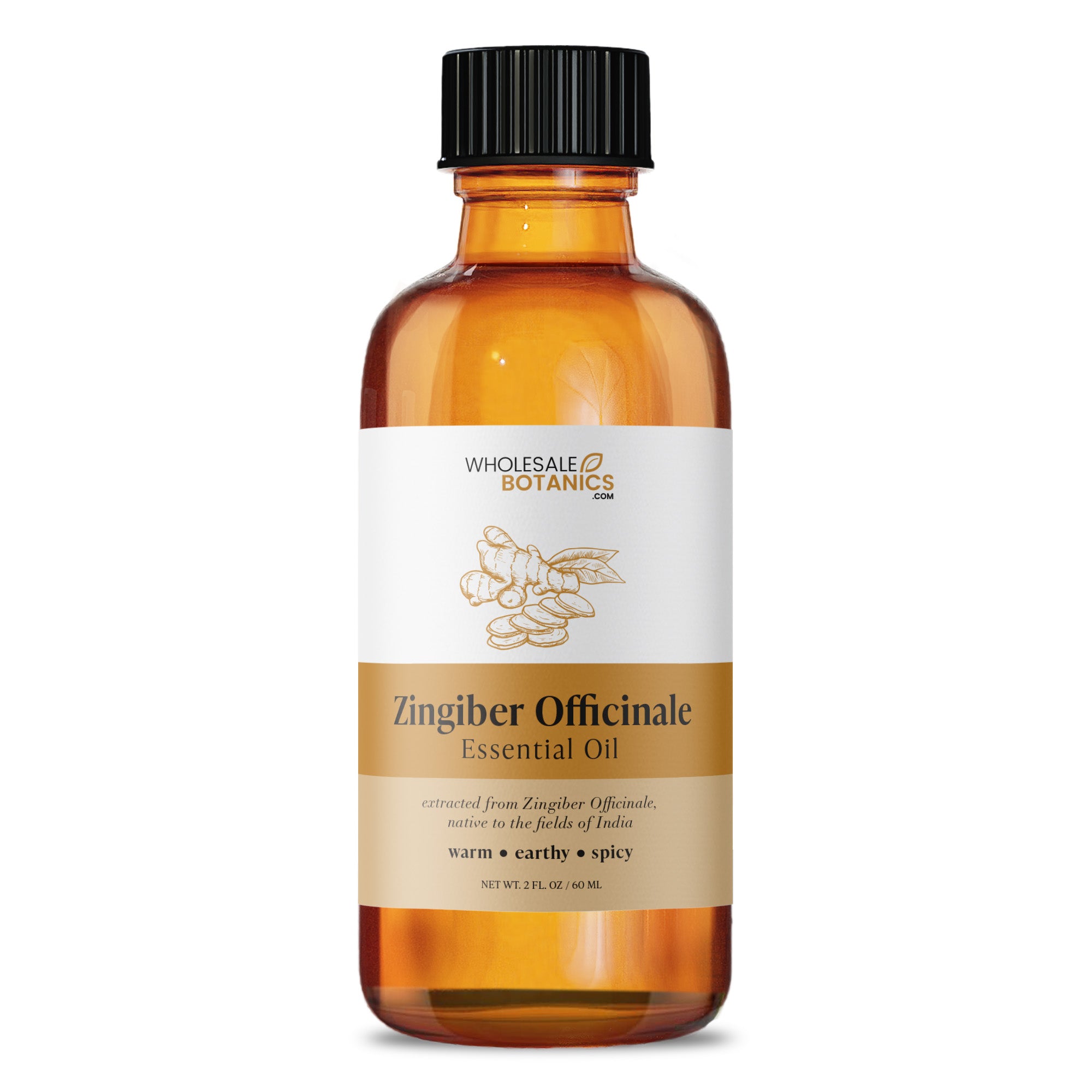 Zingiber Officinale Essential Oil