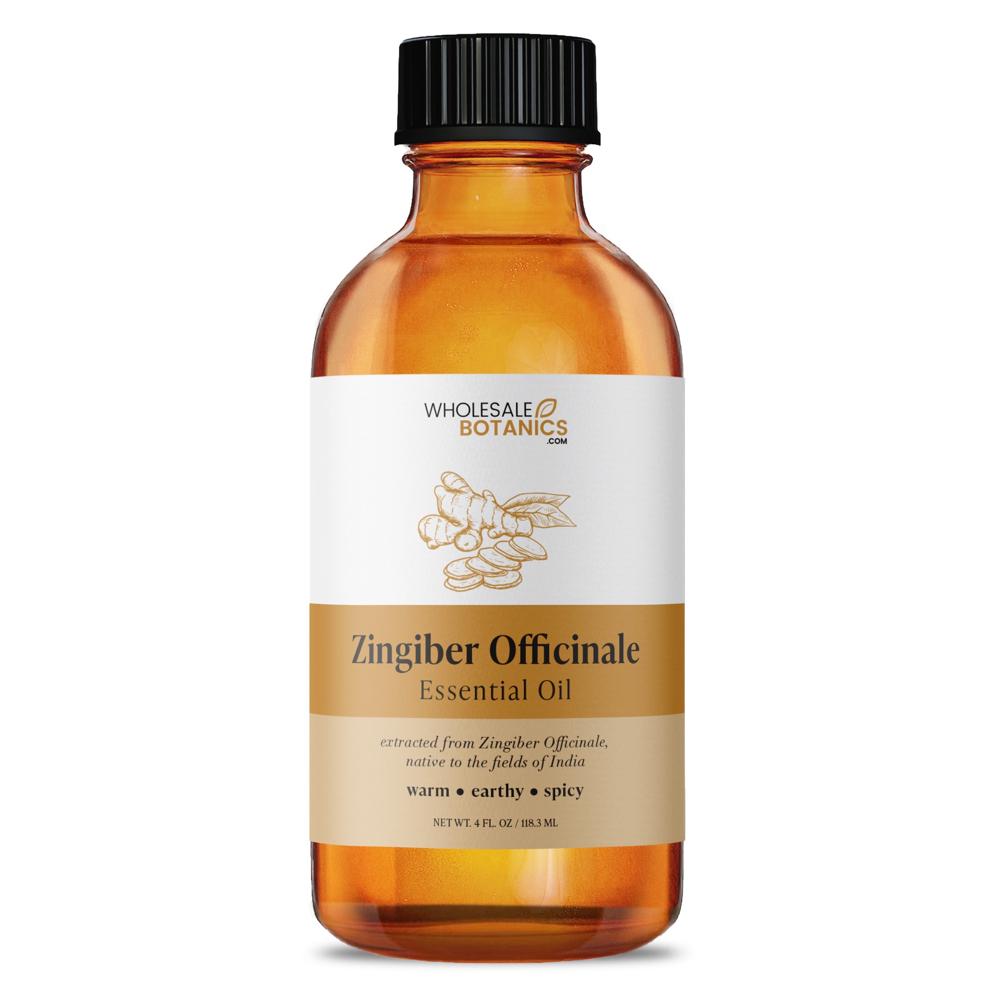 Zingiber Officinale Essential Oil