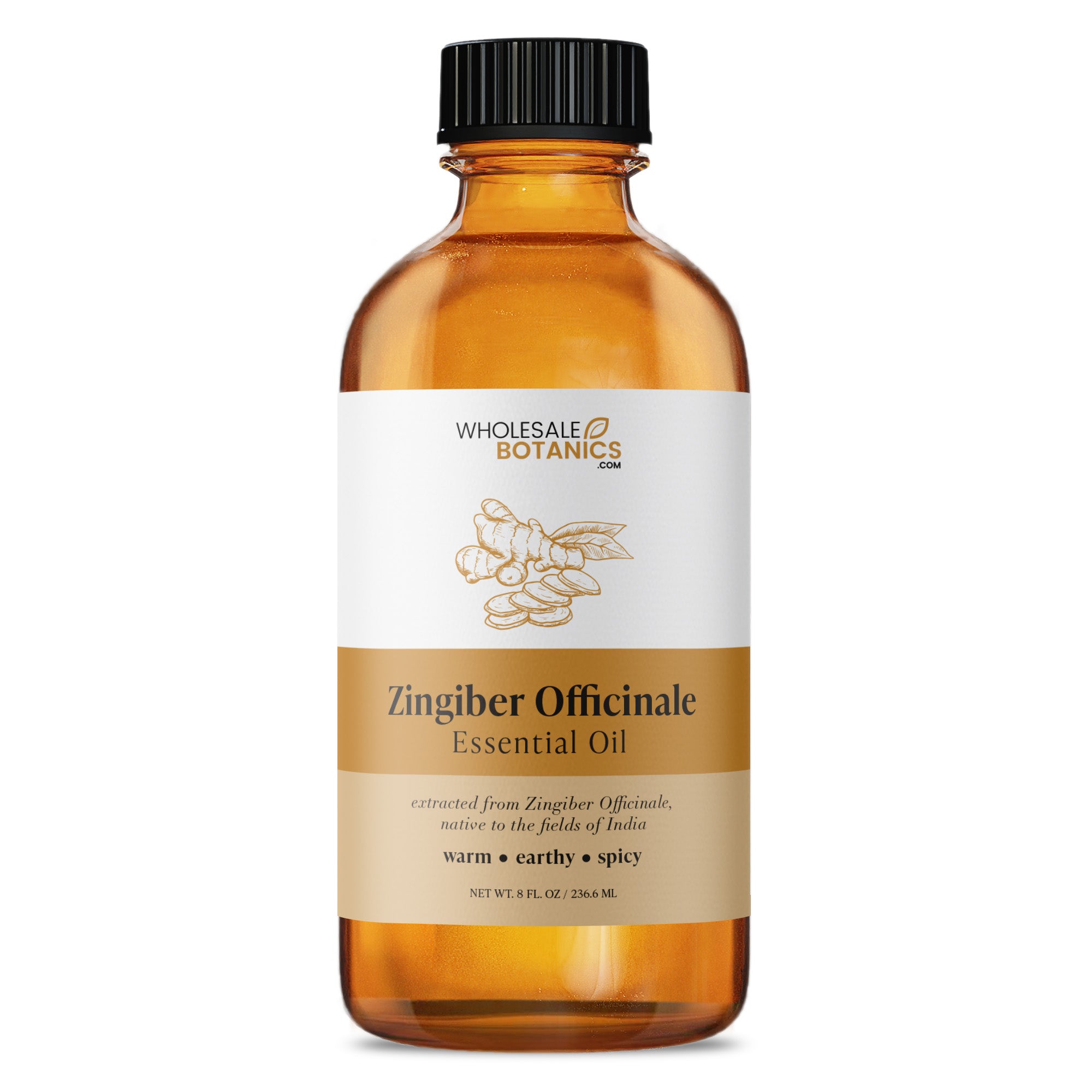 Zingiber Officinale Essential Oil