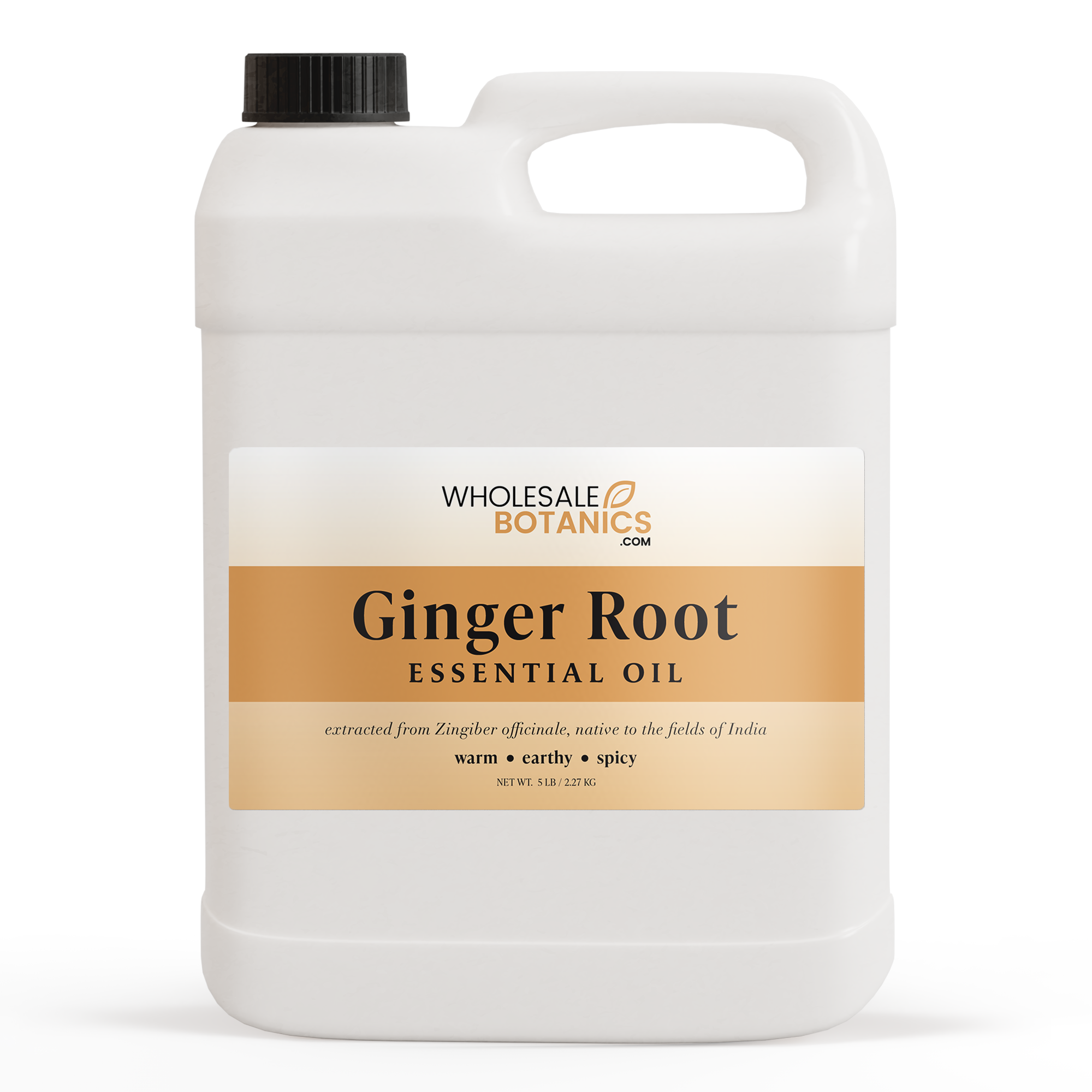 Ginger Root Essential Oil