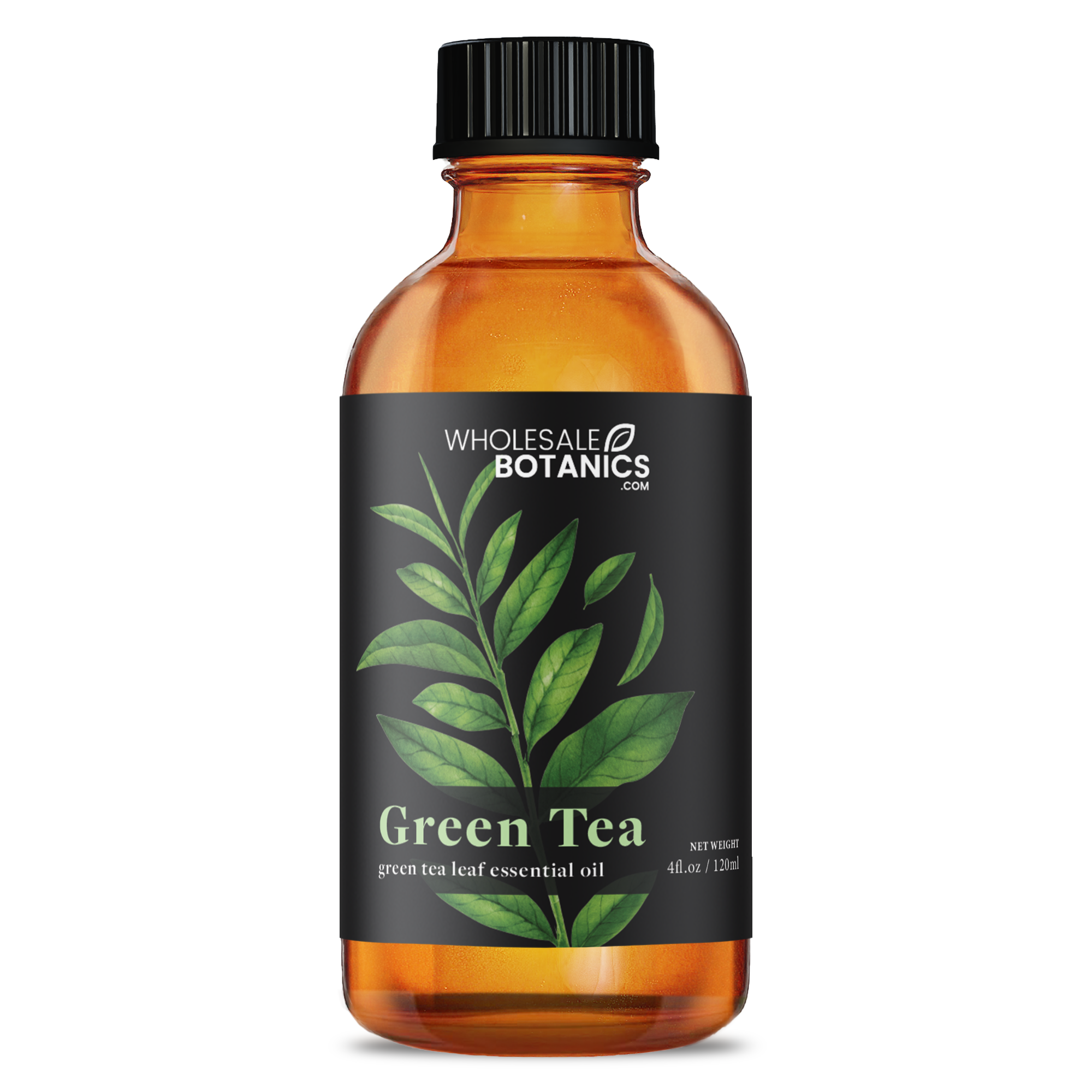 Green Tea Essential Oil Wholesale Botanics