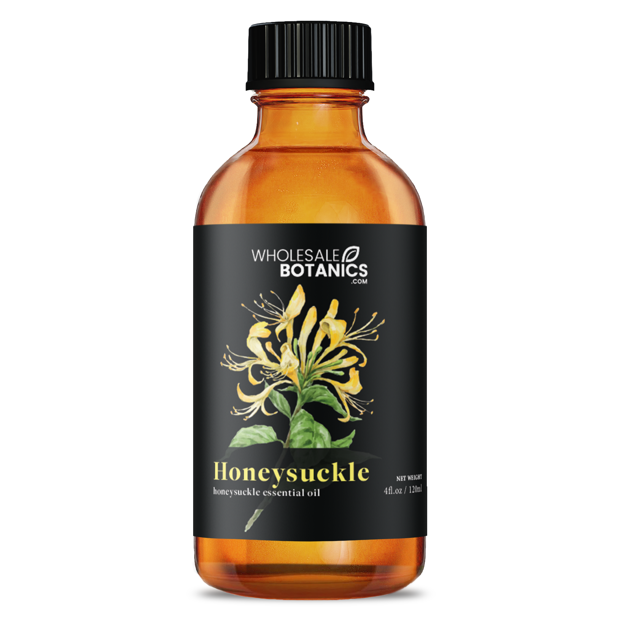 Honeysuckle Oil - Main Image