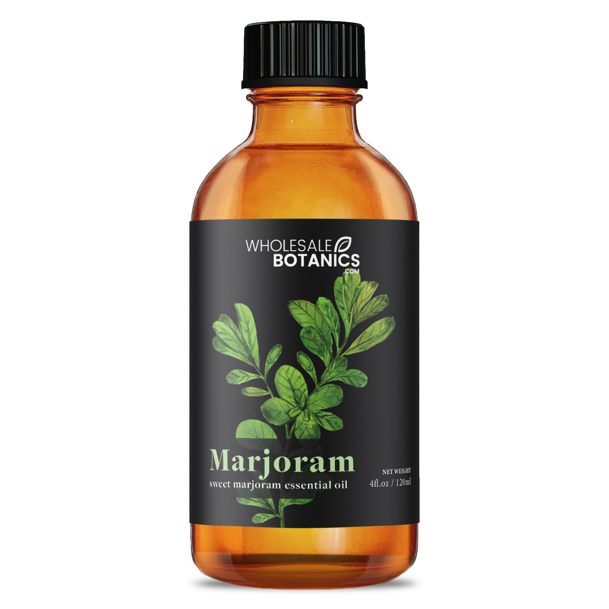 Marjoram (sweet) Essential Oil